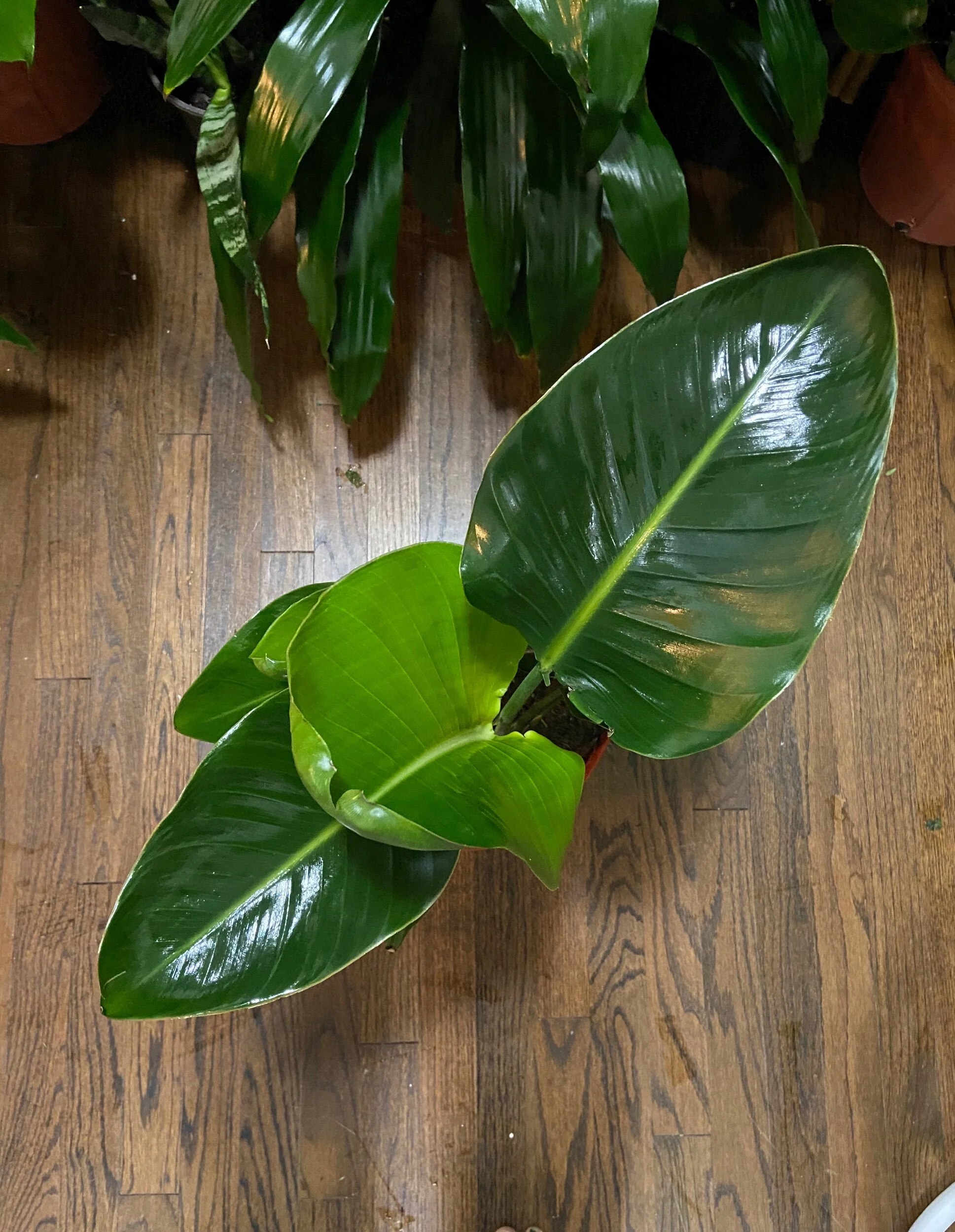 83BBB5A9-8508-4C30-B19F-AEDDF5FF954D