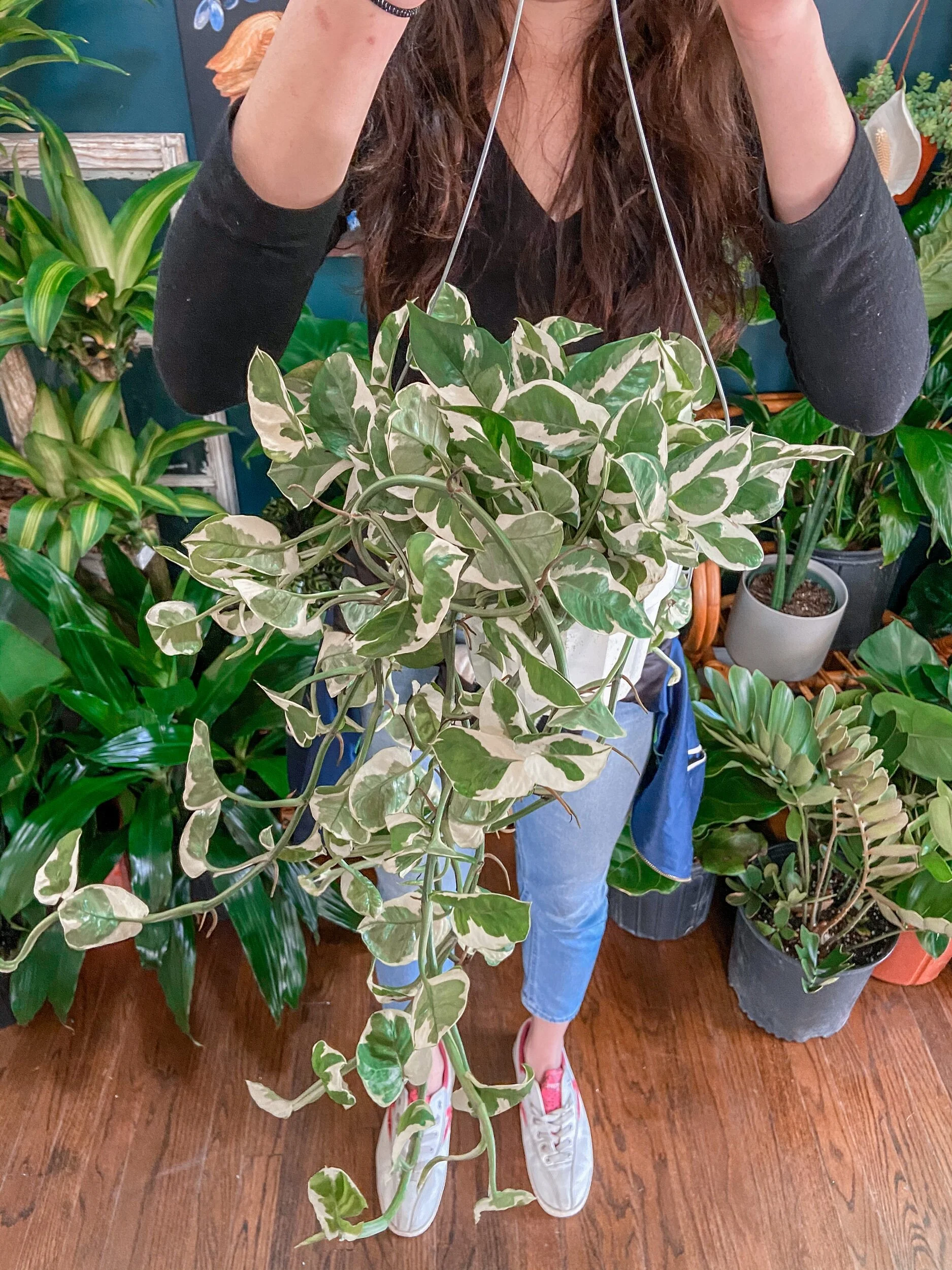 633FB081-4D26-4768-8815-1615621111F0