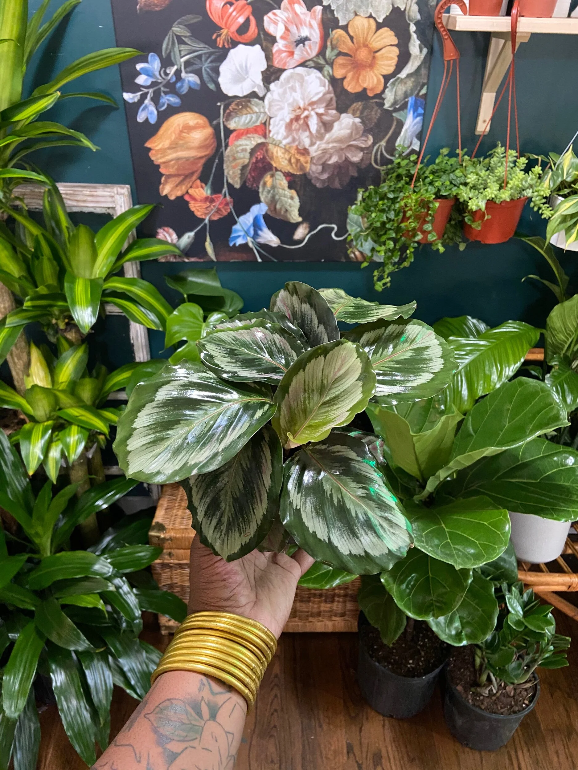 C5B5DEED-D63A-454D-9A73-B3AF0685BBF3