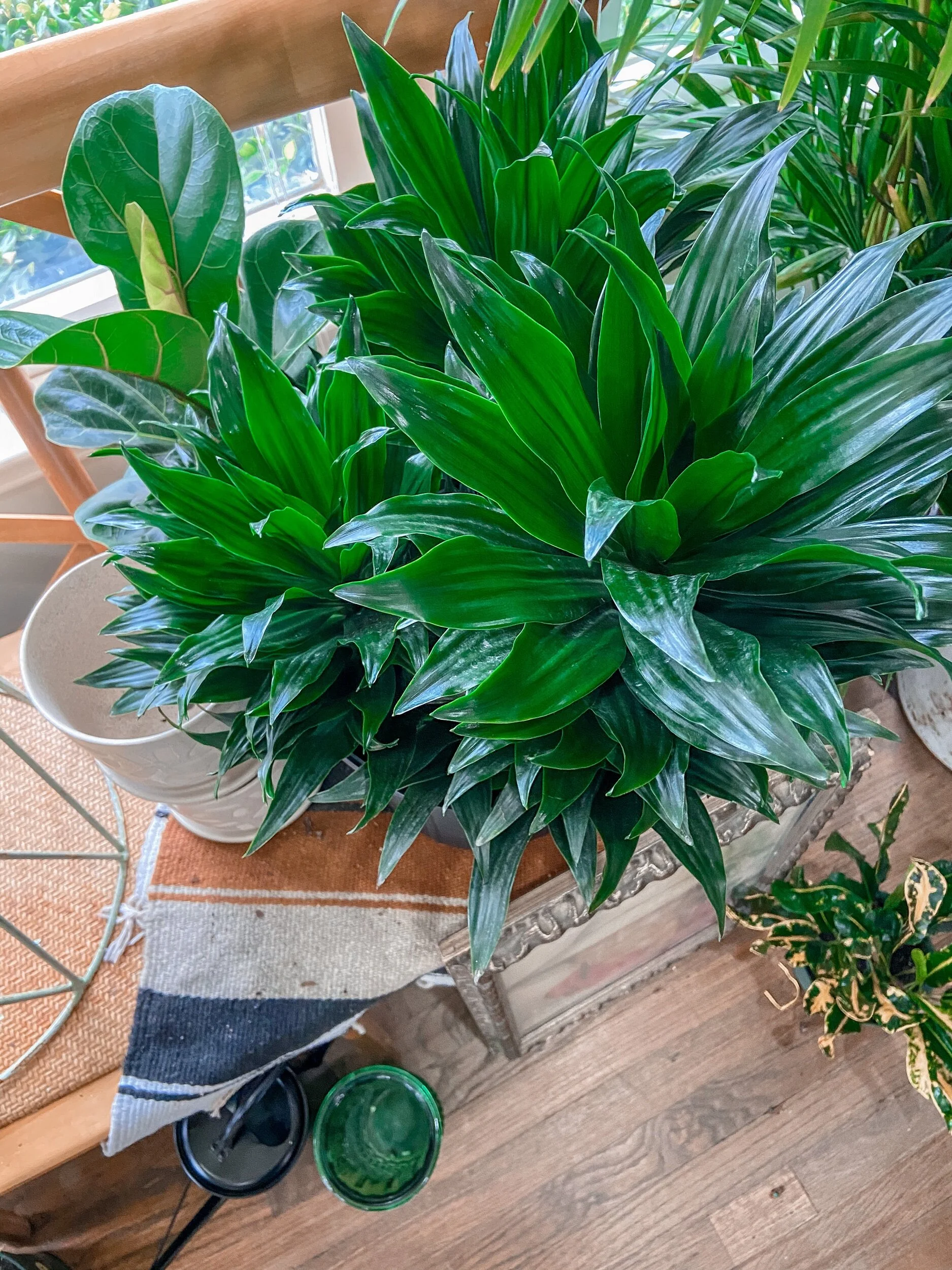 8A53670C-A82D-4049-A269-1231B27D2E53