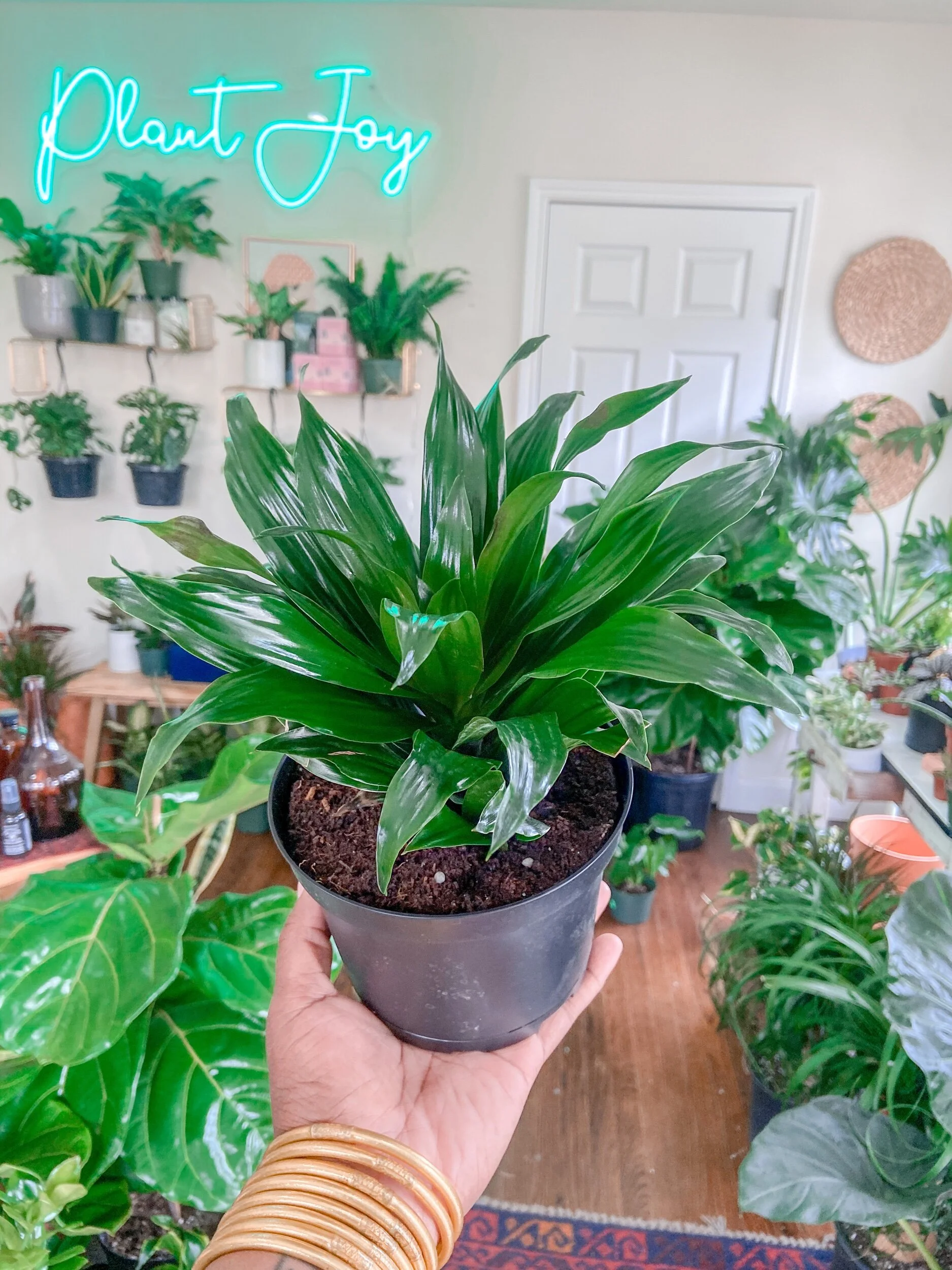 47EEB90C-1F74-468D-8DA0-5CD624E222E5