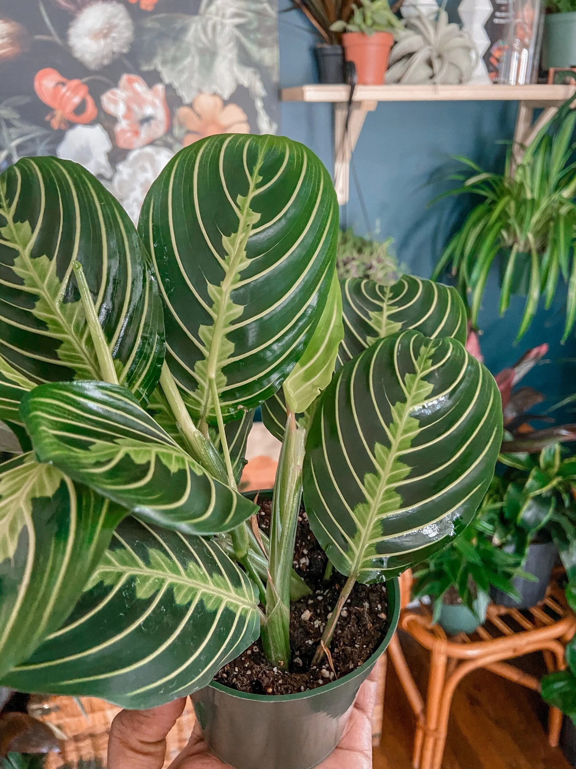 F549E48C-FFB3-4D43-92E7-9C86767A8298