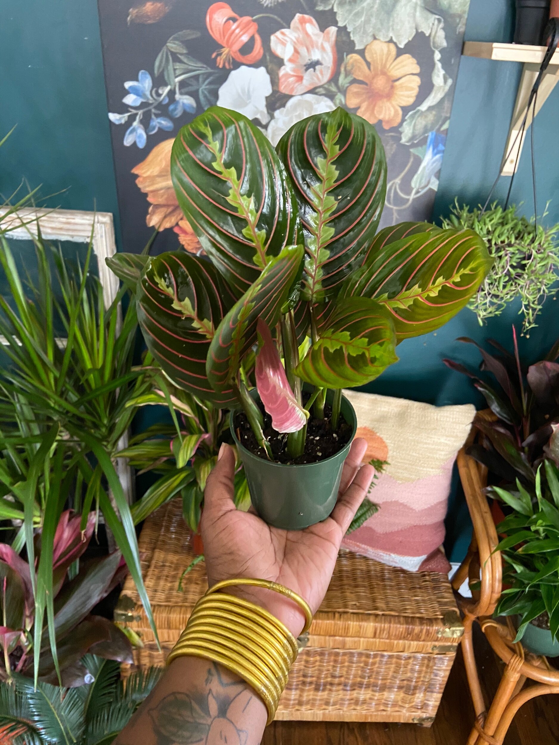 C105B555-6753-4A8C-9E0C-63D4448E925B