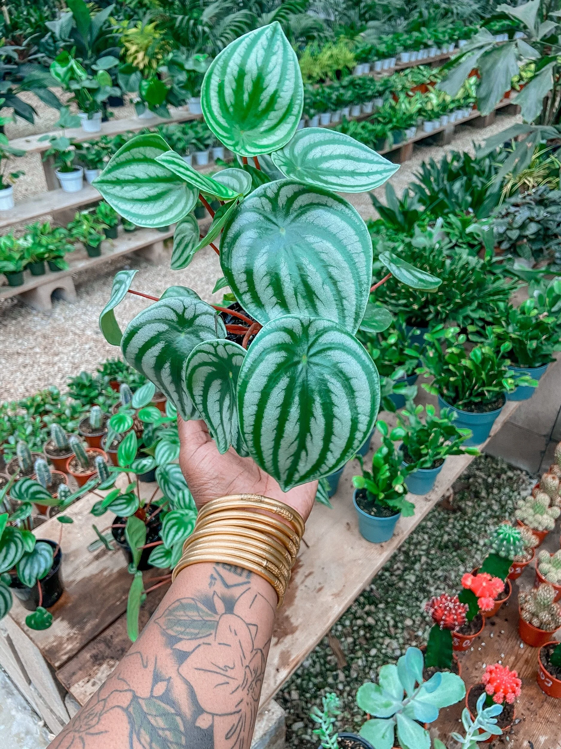 2BDE025B-3824-47FD-A858-1F3460DAE5C1