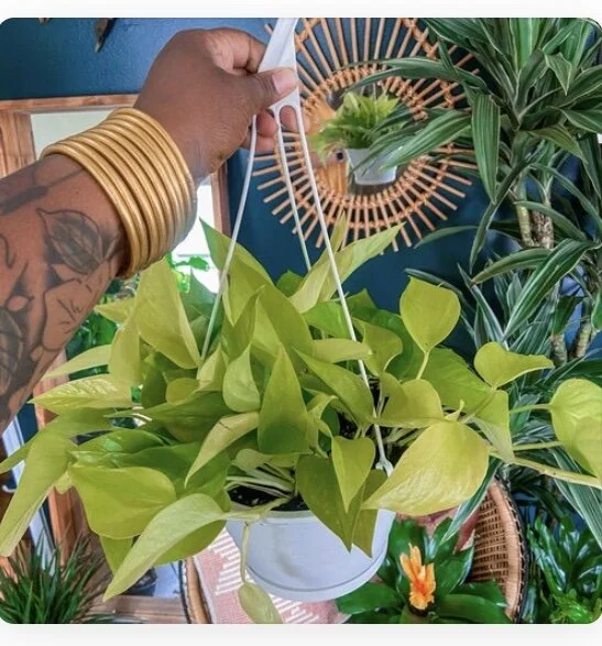 9F898BF7-3472-4156-8A3C-E23E6FECD8F9