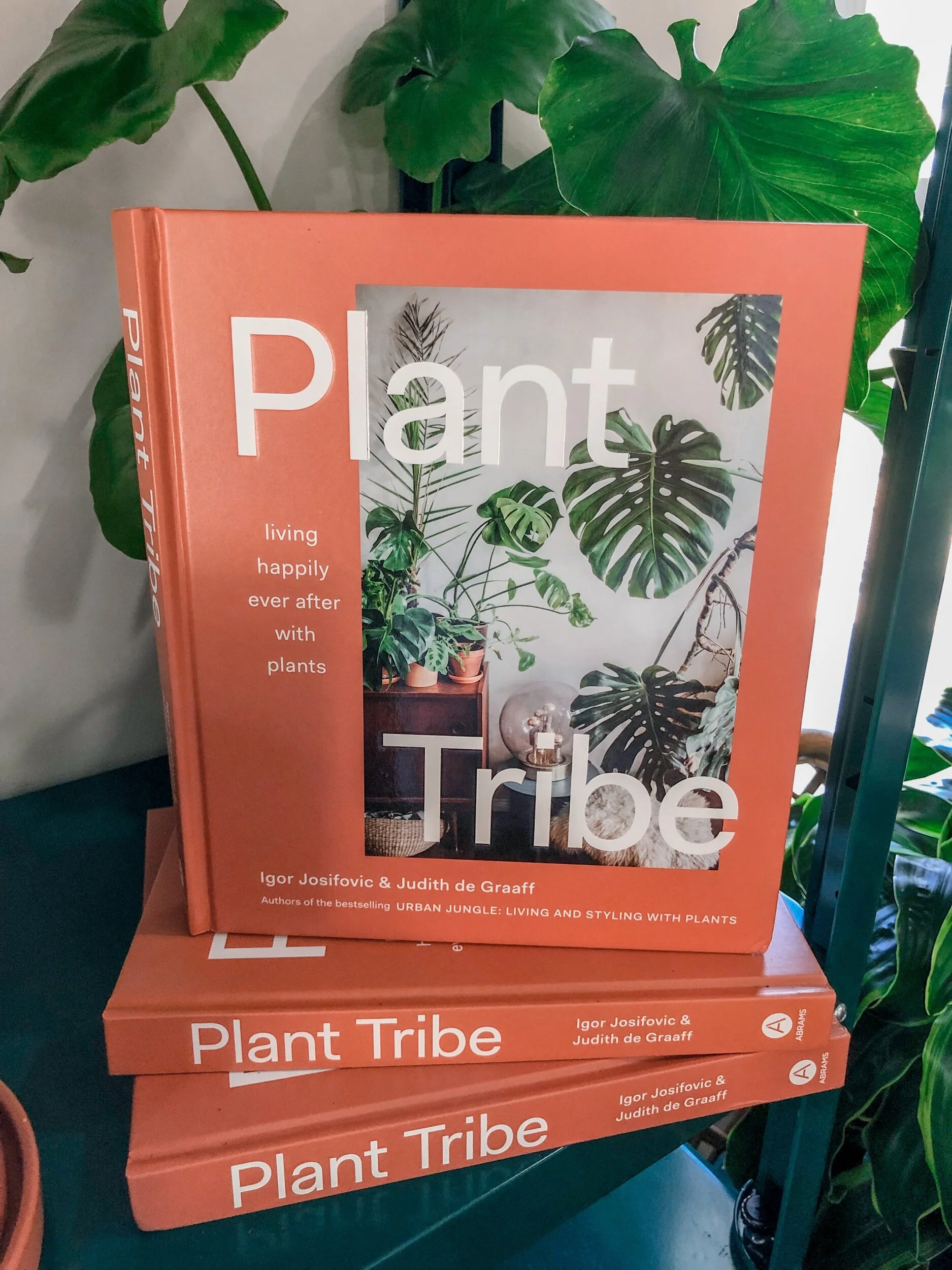 E5CCC94E-10B7-45F8-A076-2E4B32F7DB6B