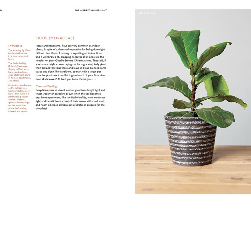 83246B72-6AFC-4792-9F15-6F9428726438