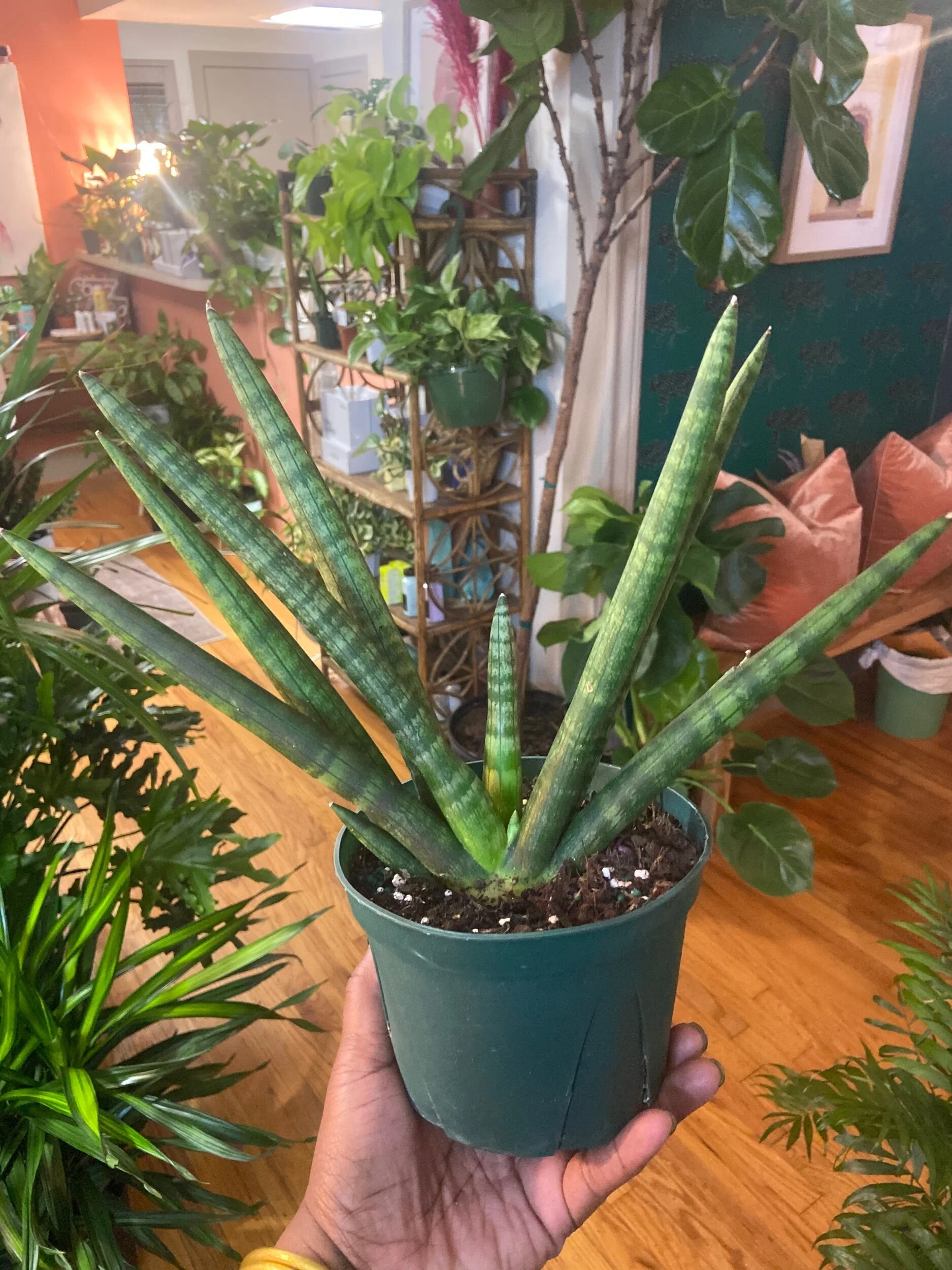 E5041283-9DE3-4B08-8CC2-41422736F1EB