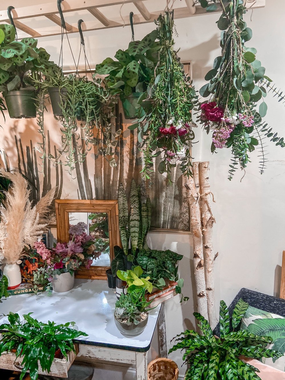Self Care Shower Bundle  The Plant Project