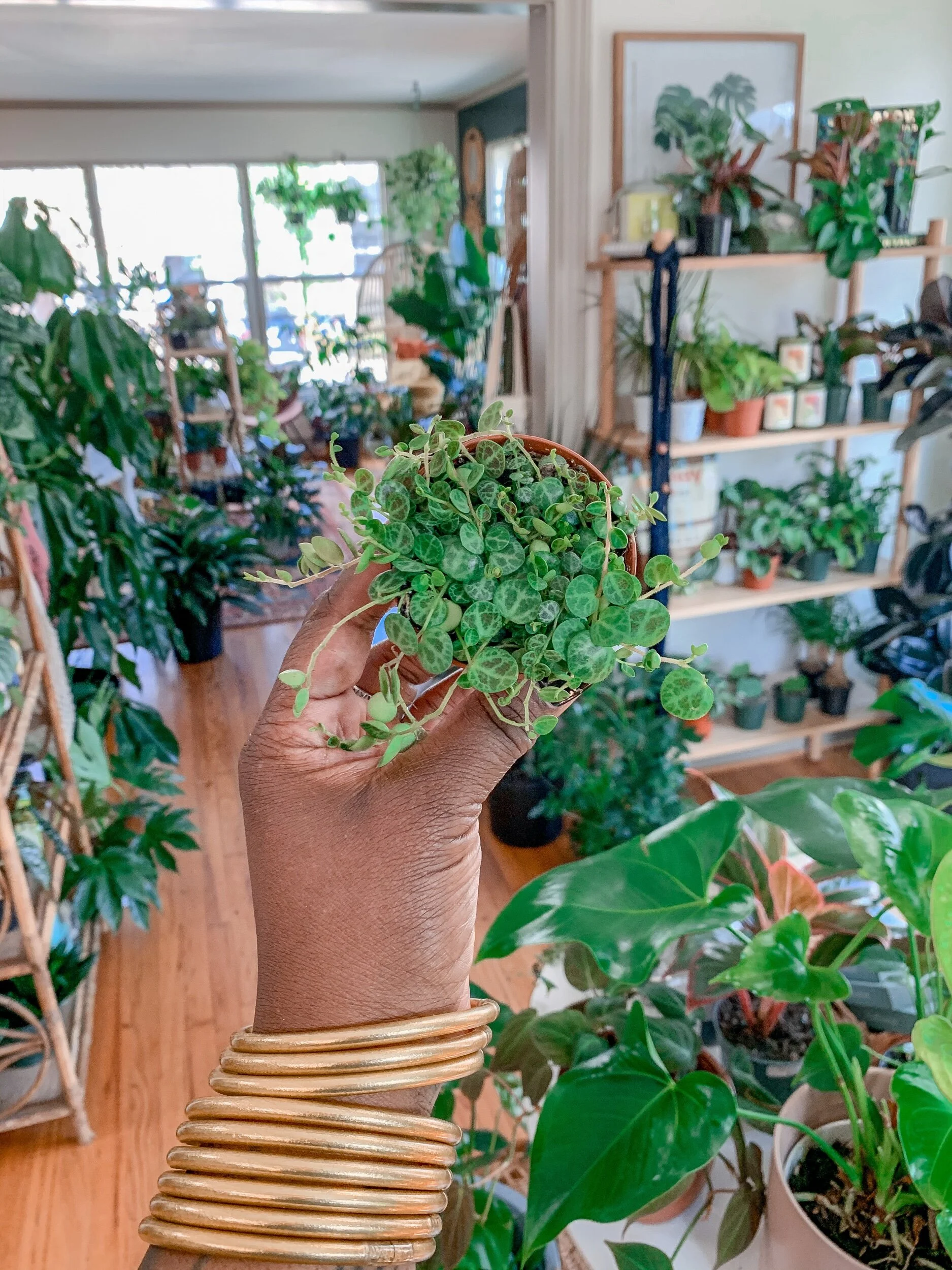 E4E73469-C417-4A48-81E3-3A9A30E02B8E