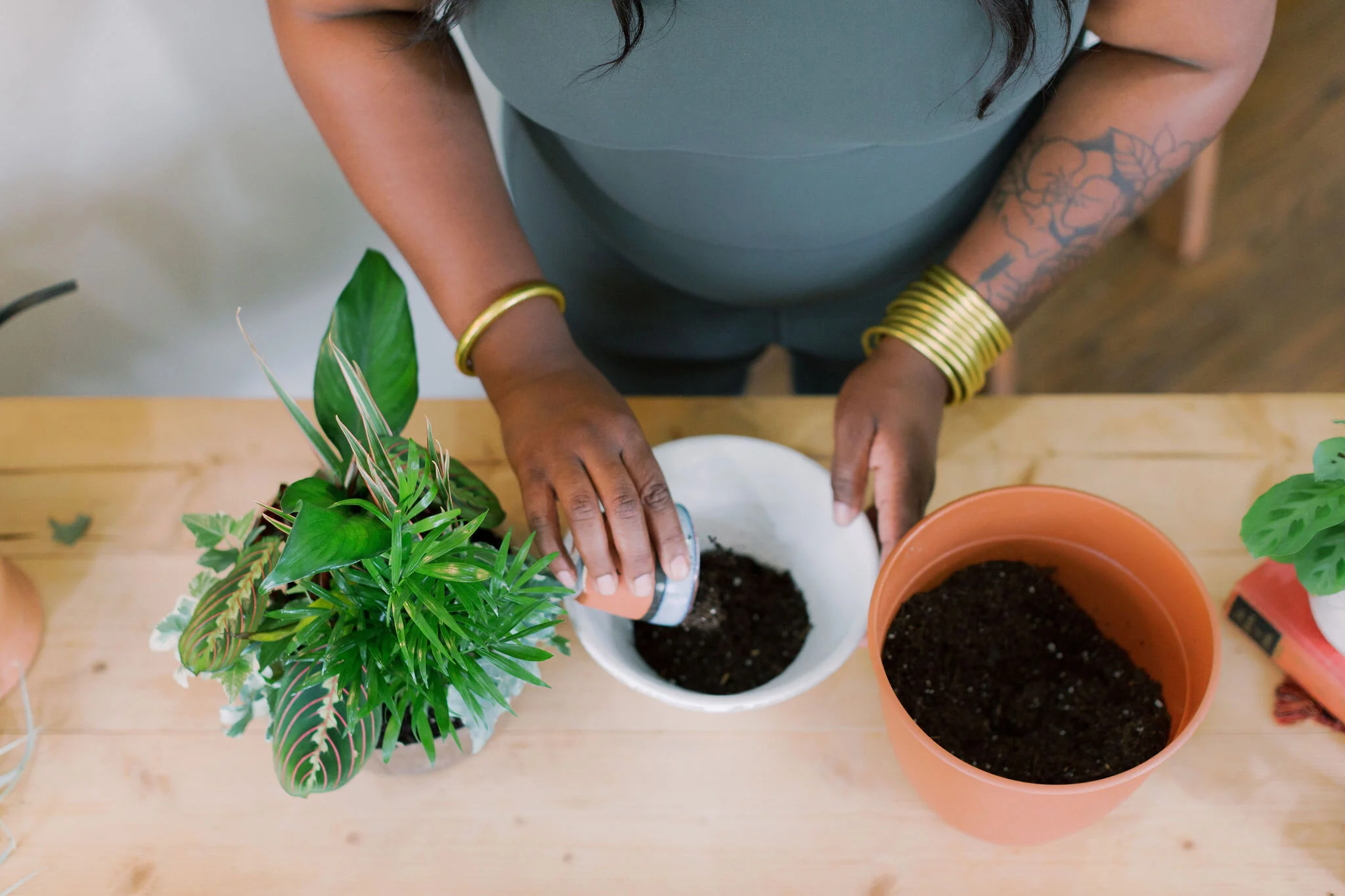 B70C84AB-A461-44D7-A220-AF3FBF20EE2F