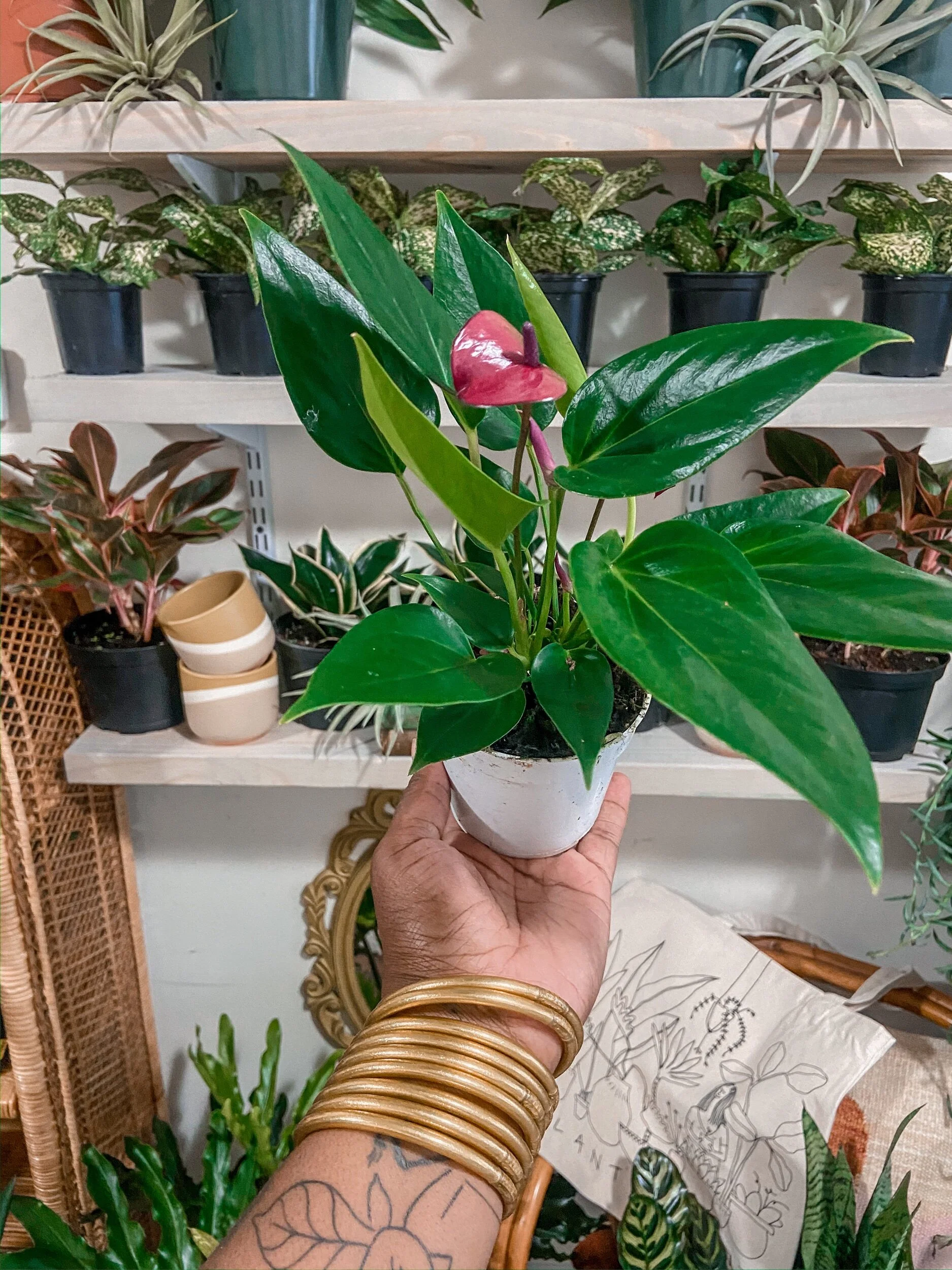 FB71117E-5067-4DA3-A2C6-6108511AF10F