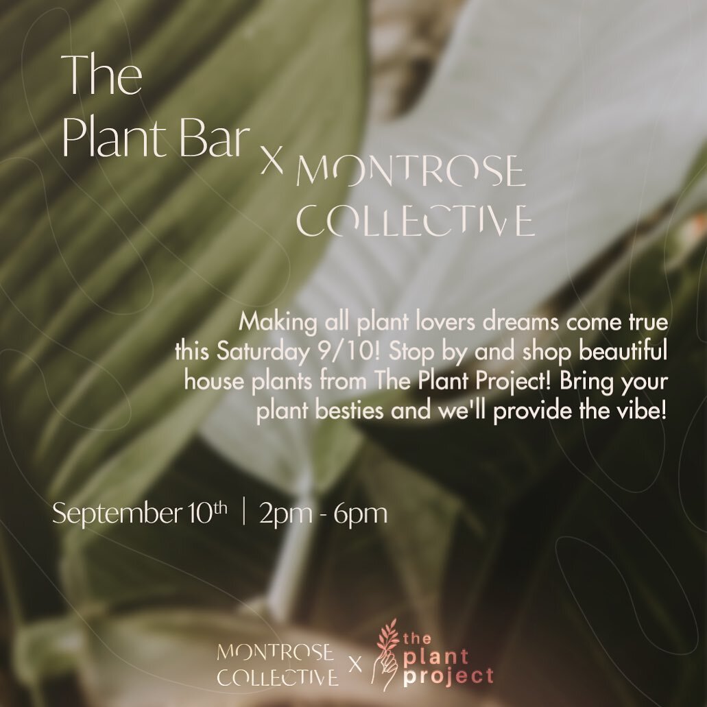 We are making ALL plant lovers dreams come true! And we are making it happen with our friends &amp; neighbors @montrosecollective THIS WEEKEND🌱

The Plant Bar will be a WHOLE vibe. 🌿

Live Music🎶 Sips 🥃 and all the 
PLANT JOY🪴

Montrose Collecti