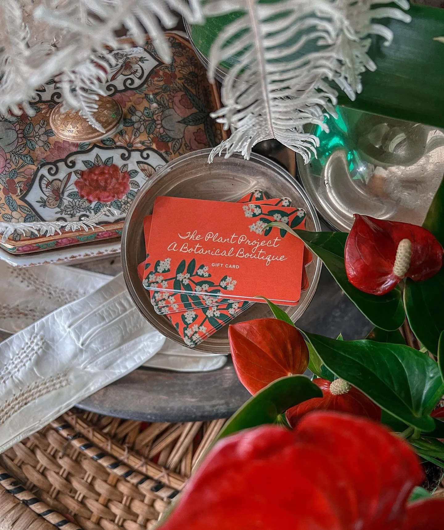 Just in time&hellip;.our best gift. The gift that never stops growing. The Plant Project GIFT CARDS ✨

Deck the Halls and feed the plant joy. Buy a $100 gift card &amp; we will plant a bonus $20 gift card for FREE🎄This Holiday Season.

Visit one of 