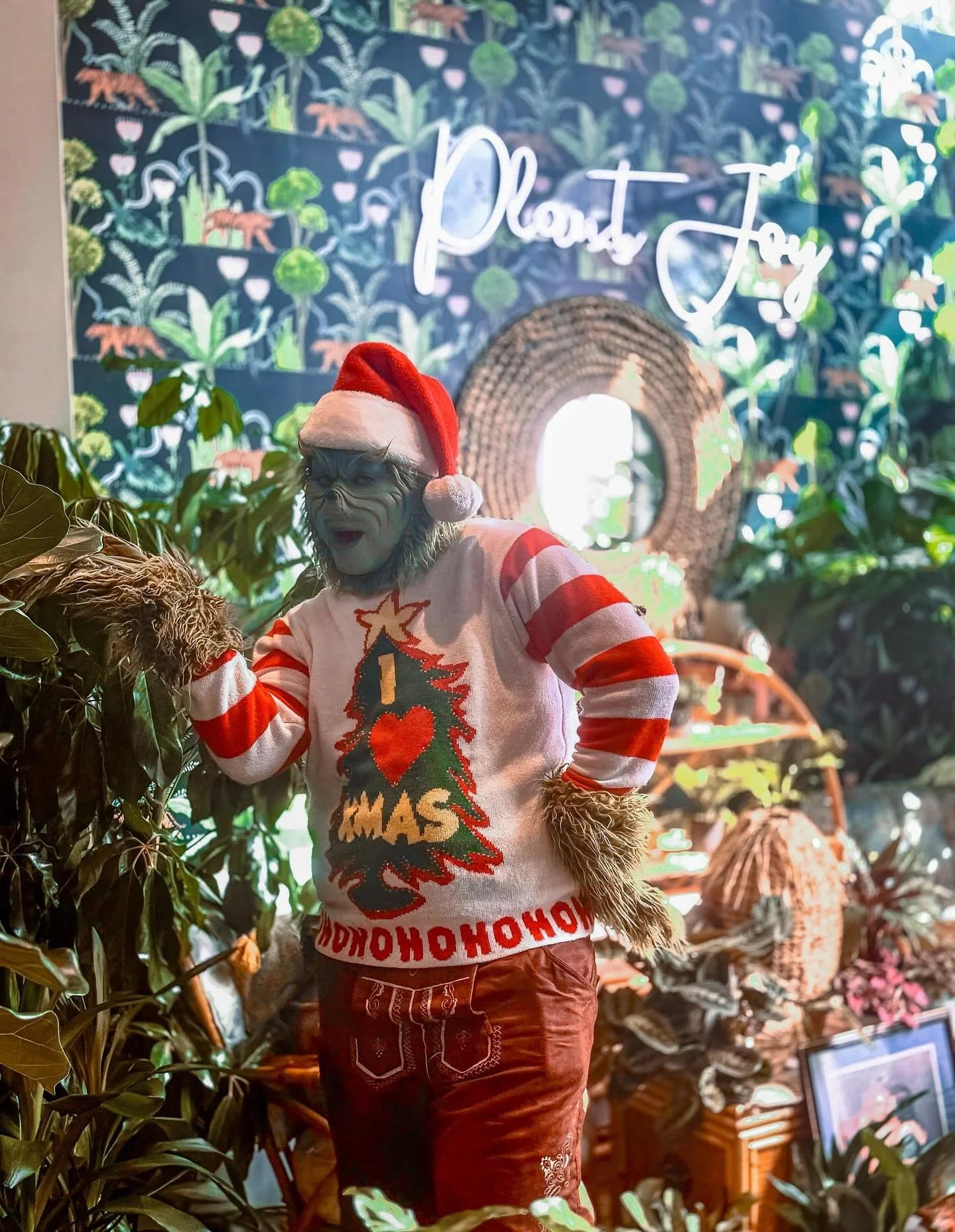 So remember a few days ago when we said. The Grinch stole our entire &ldquo;Christmas Marketing Campaign&rdquo;

He is a mean one!

Well! He stopped by and said he was sorry

NOT Sorry. 

He also said he still wants a plant. 

So check out these cool