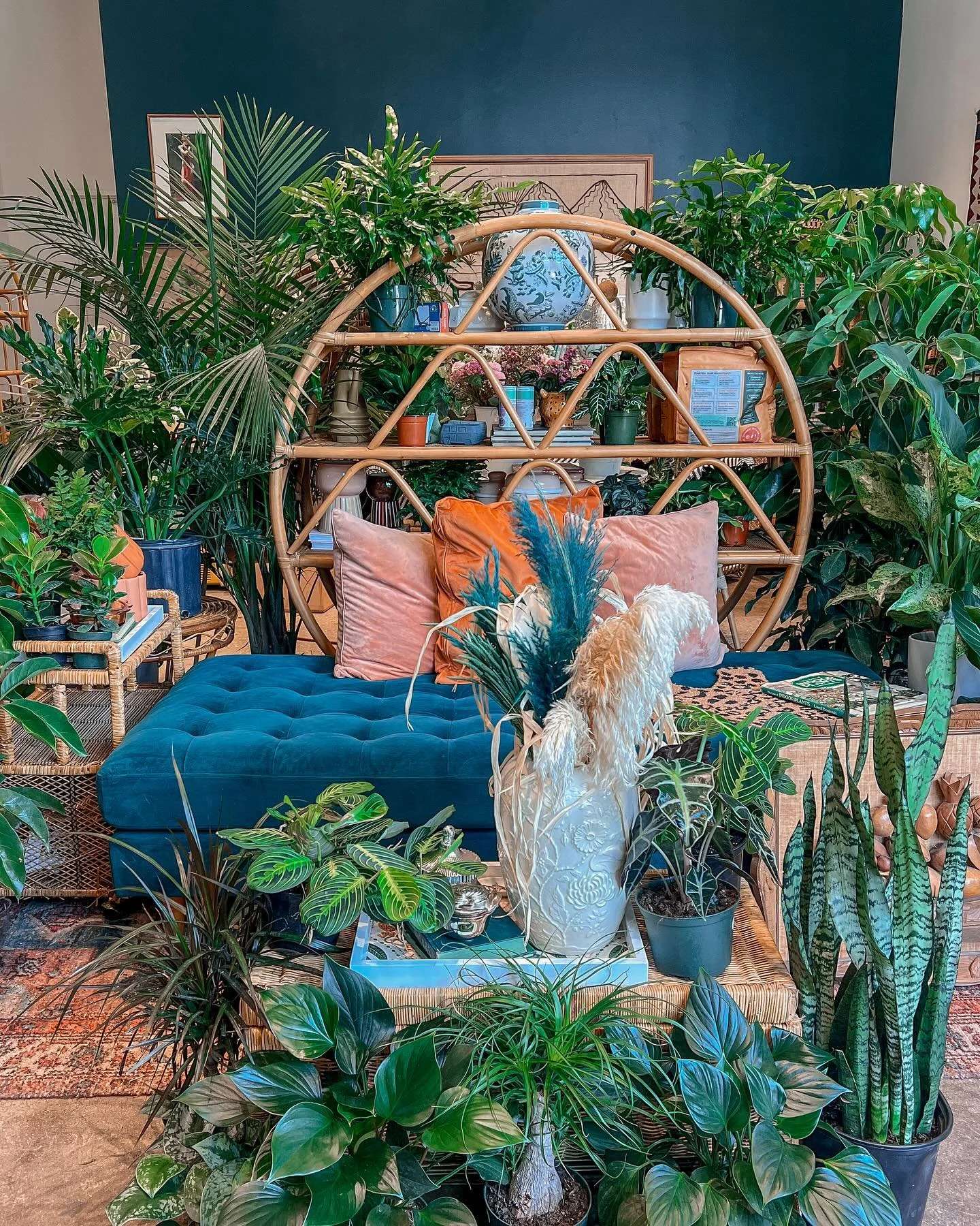 New month around the corner. 
New year approaching.
New beginnings ALWAYS possible. 

Same gentle reminder&hellip;.that we are each deeply rooted to one another. And in order to grow you must always root for one another. 

We won&rsquo;t just leave o