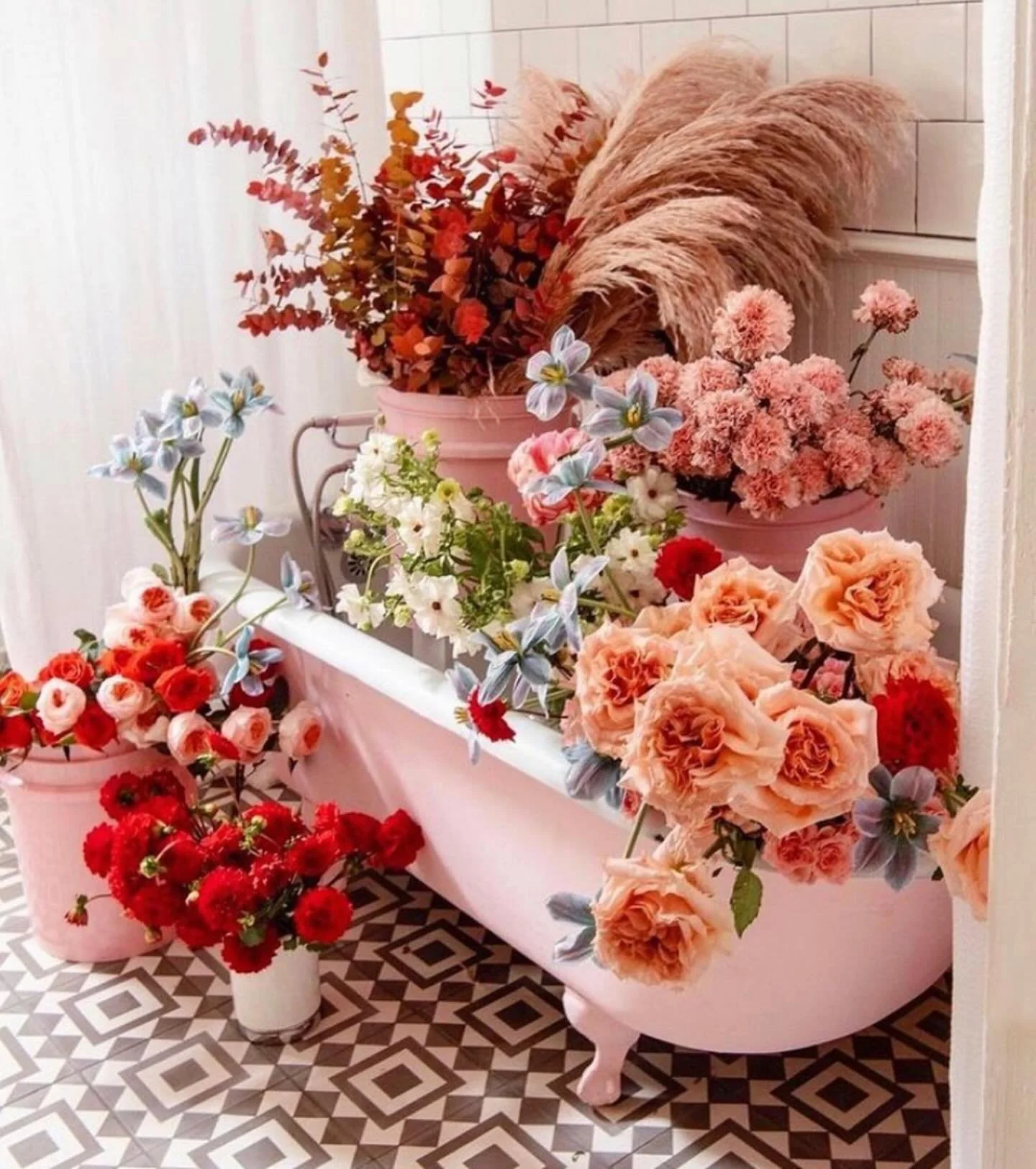 Flowers are for Tinder Dates....Plants are for Soul Mates. We are all about Diversity here at The Plant Project so we have you covered no matter what. FLOWERS &amp; PLANTS are our jam. 

So after we allllllllll swoon over the #BenitoBowl ma&ntilde;an