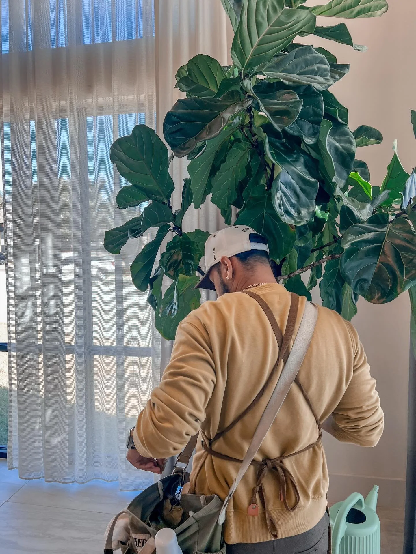 We say often we are more than a plant shop&hellip;.and we mean just that. 

One of the many valuable services we offer is our 

&ldquo;GREENTERIOR&rdquo; service which is our Interior Plantscaping.

The Plant Project is a partner in care&hellip;nurtu