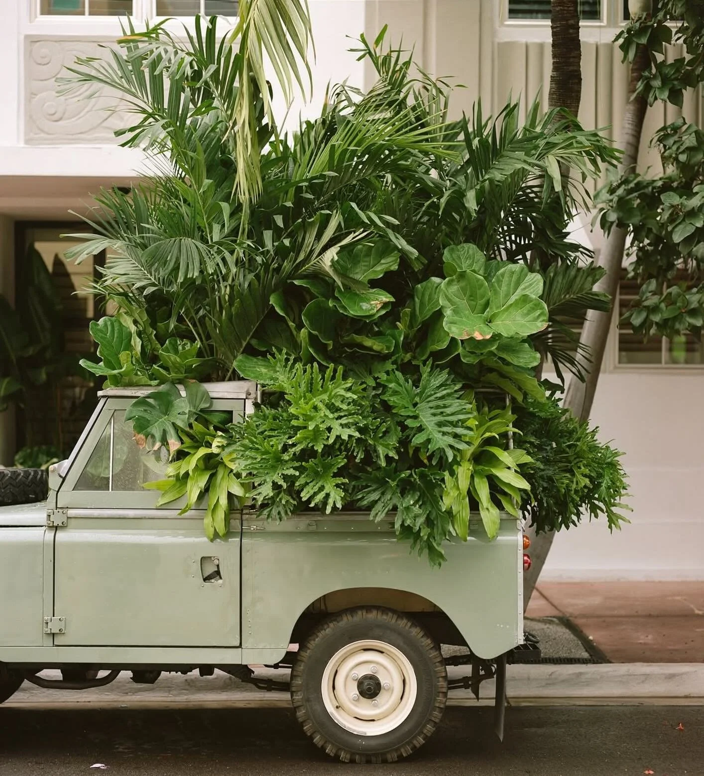 We are rolling into Monday, March, Spring &amp; Women&rsquo;s History month with all the feels. 

Our Garden is full &amp; over flowing. Spring is our J A M🌿

We have a pretty busy month filled with 
🌱🍾Plants &amp; Prosecco&rsquo;s 
🌿🎷Jazz &amp;