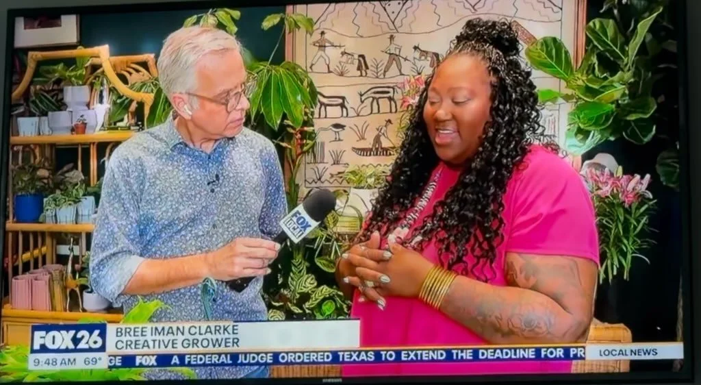 SPRING is in full BLOOM here at The Plant Project!

We had the chance to welcome our friend @fox26ruben to chat all things green. And to share the beautiful reminder that all things BLOOM in their own time. Plants &amp; People✨

We chatted about soil