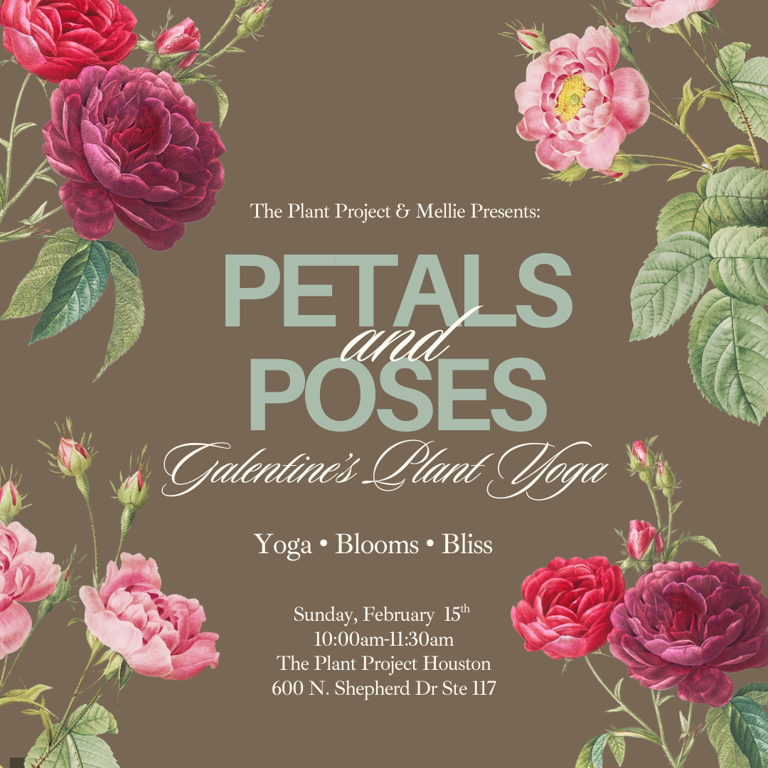 Julie Verion Petals & Poses .png