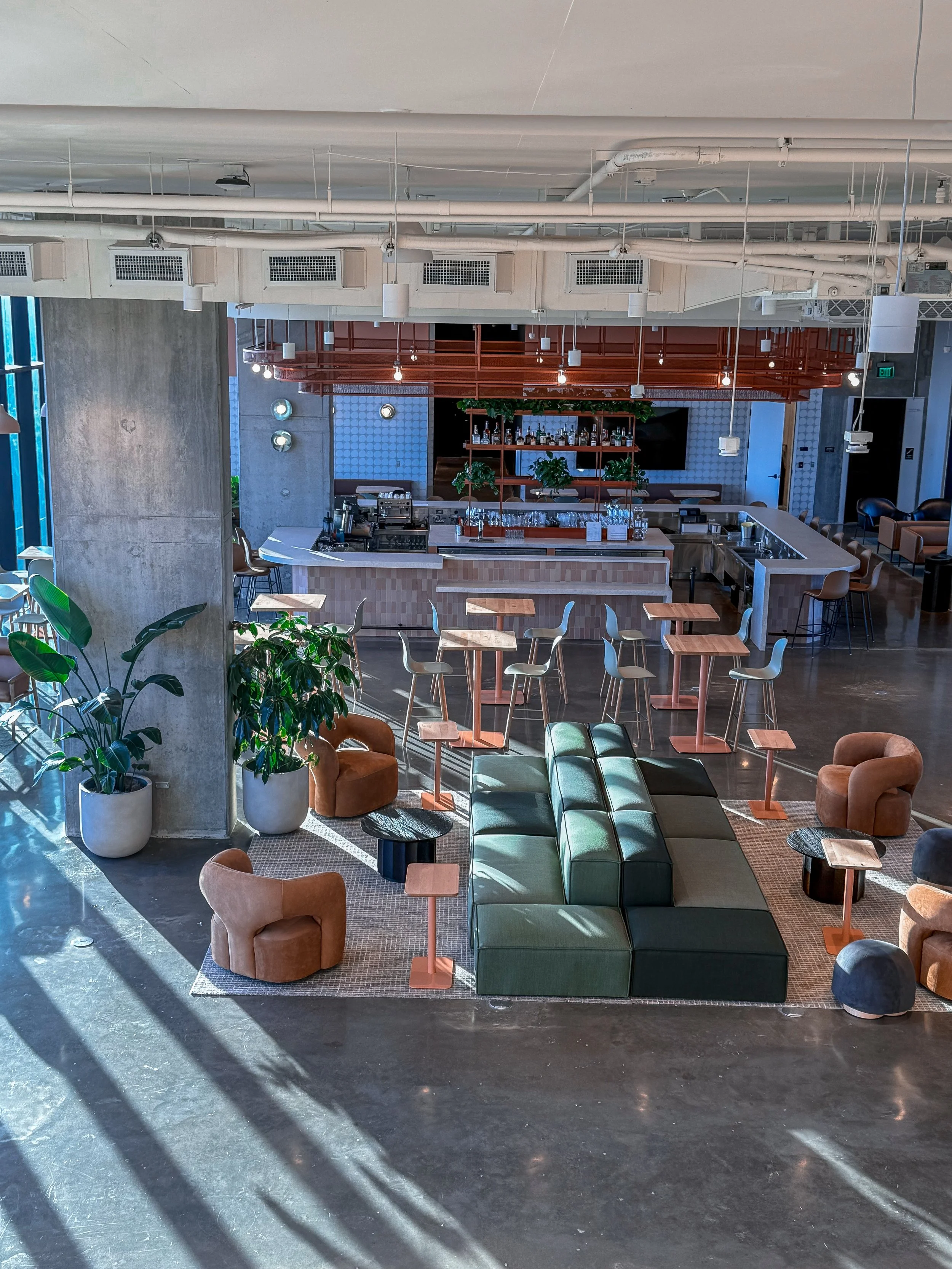 National Indoor Plants Week: Why Every Space Needs a Little More Green