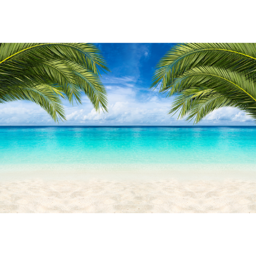 Untitled design - 2026-04-23T125017.061.png