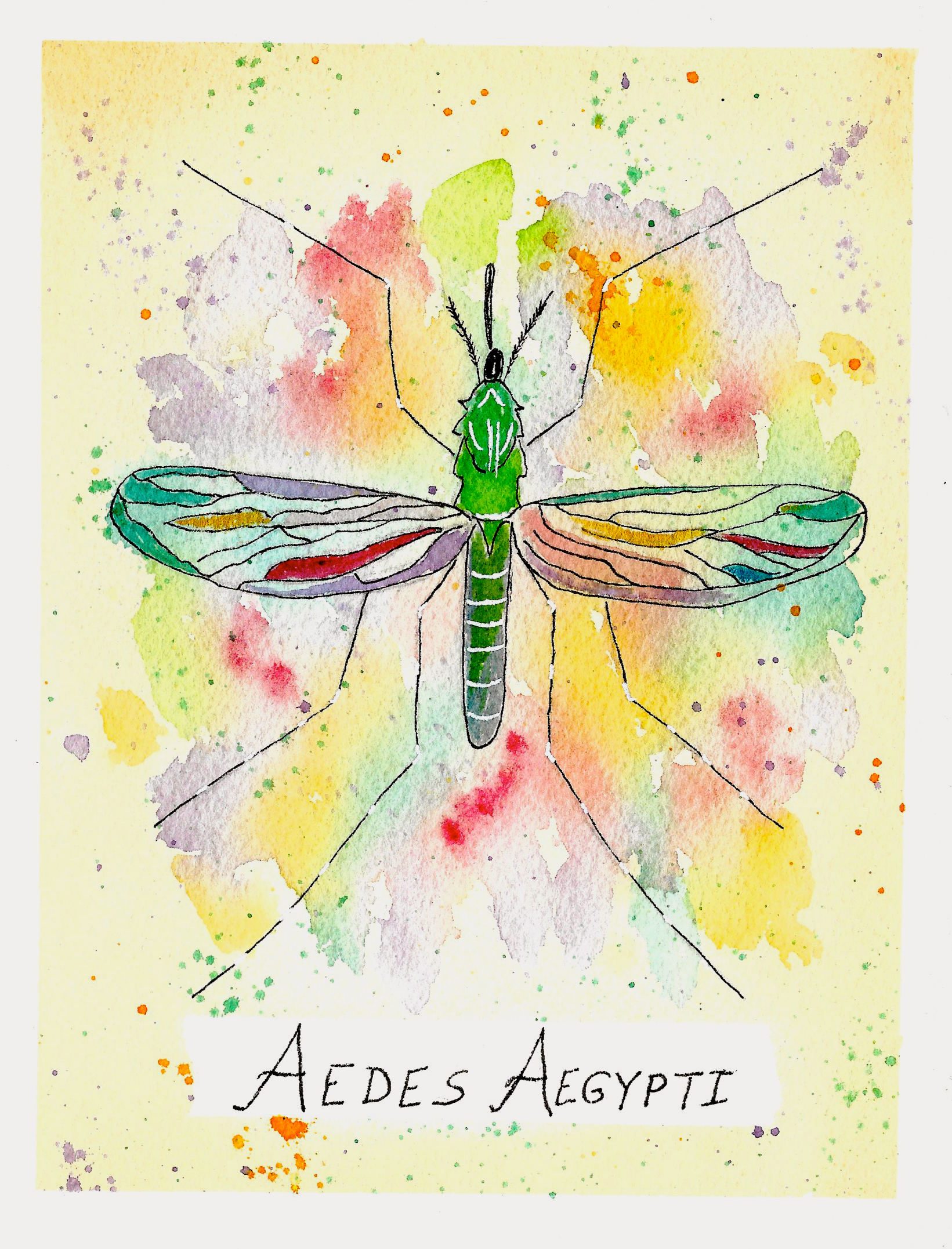 Spring has Sprung…Me? Not so much