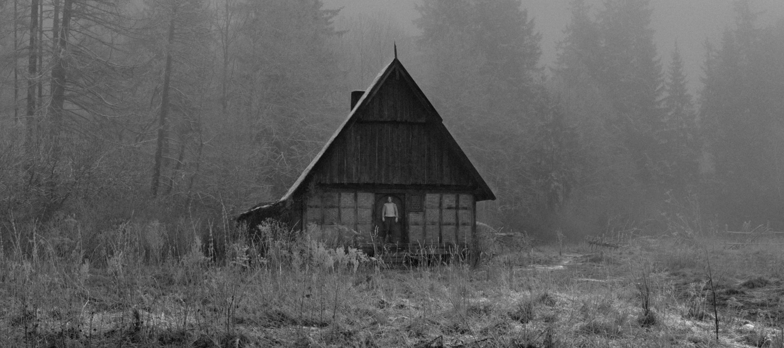 Rose Writes a Story of Deception, Selfhood, and the Miracle of Being New