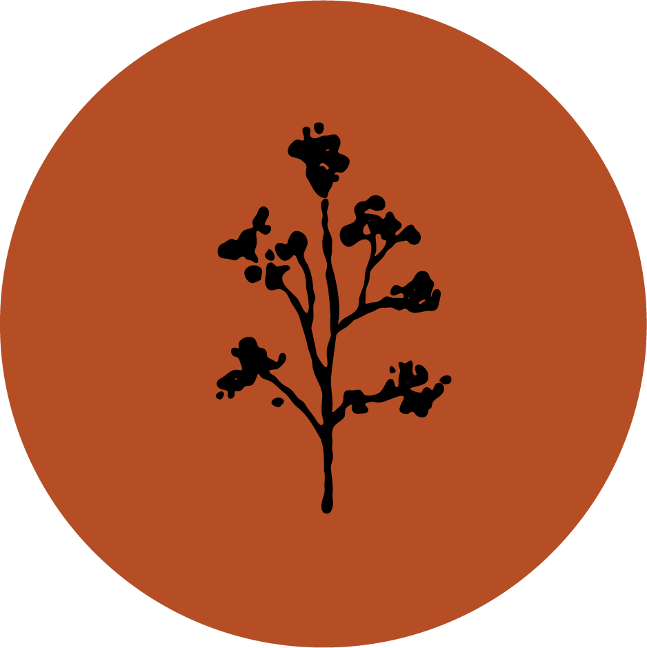 treehouse-acupuncture.com