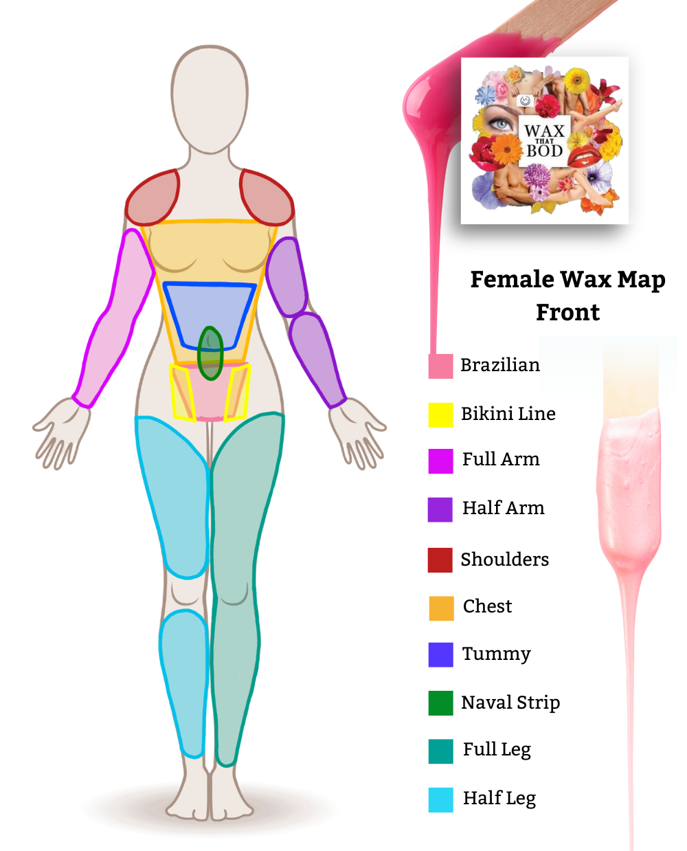 Bikini Wax Area Diagram