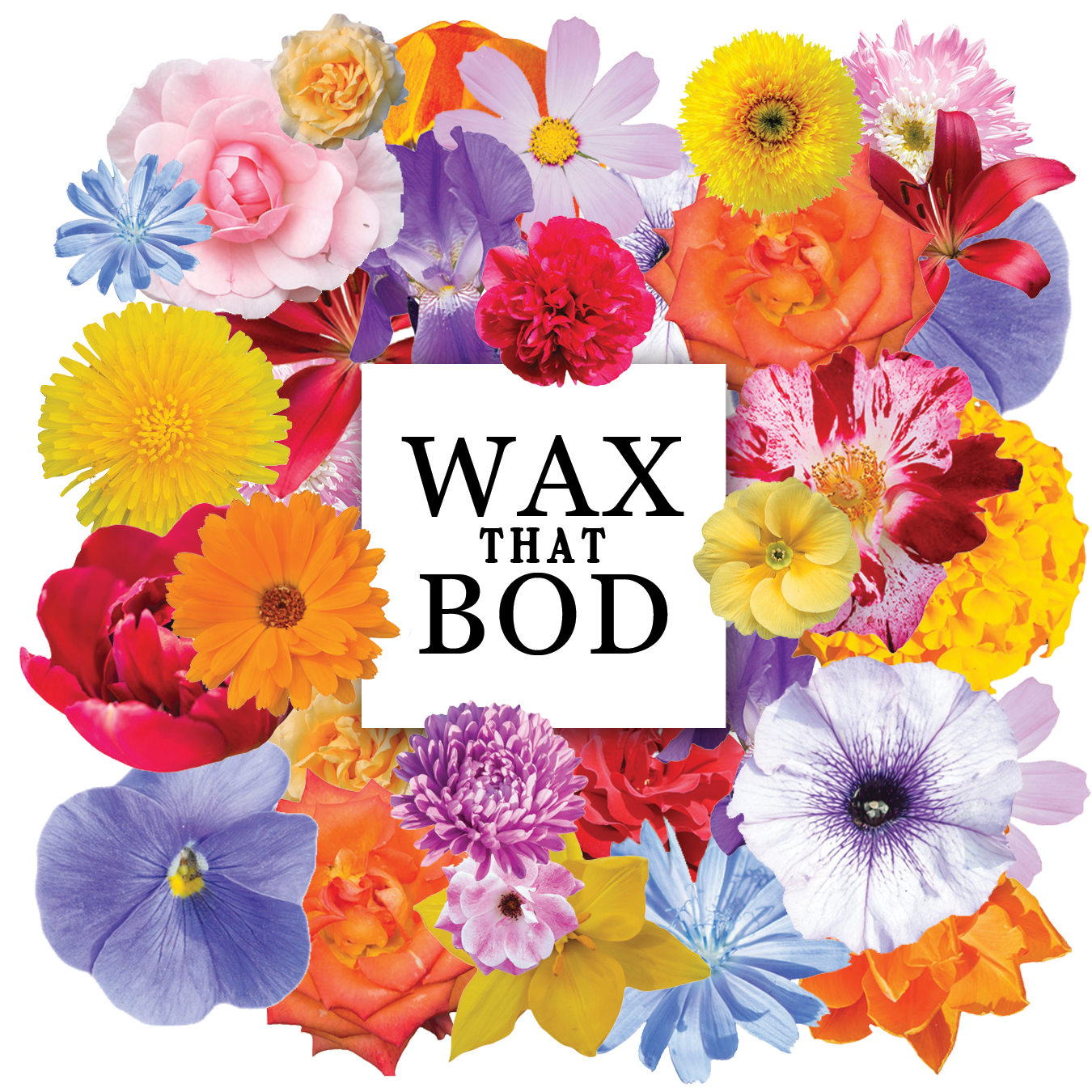 Shop Products — Wax That Bod Co. | $38.00 Brazilian Wax | Hard Wax 