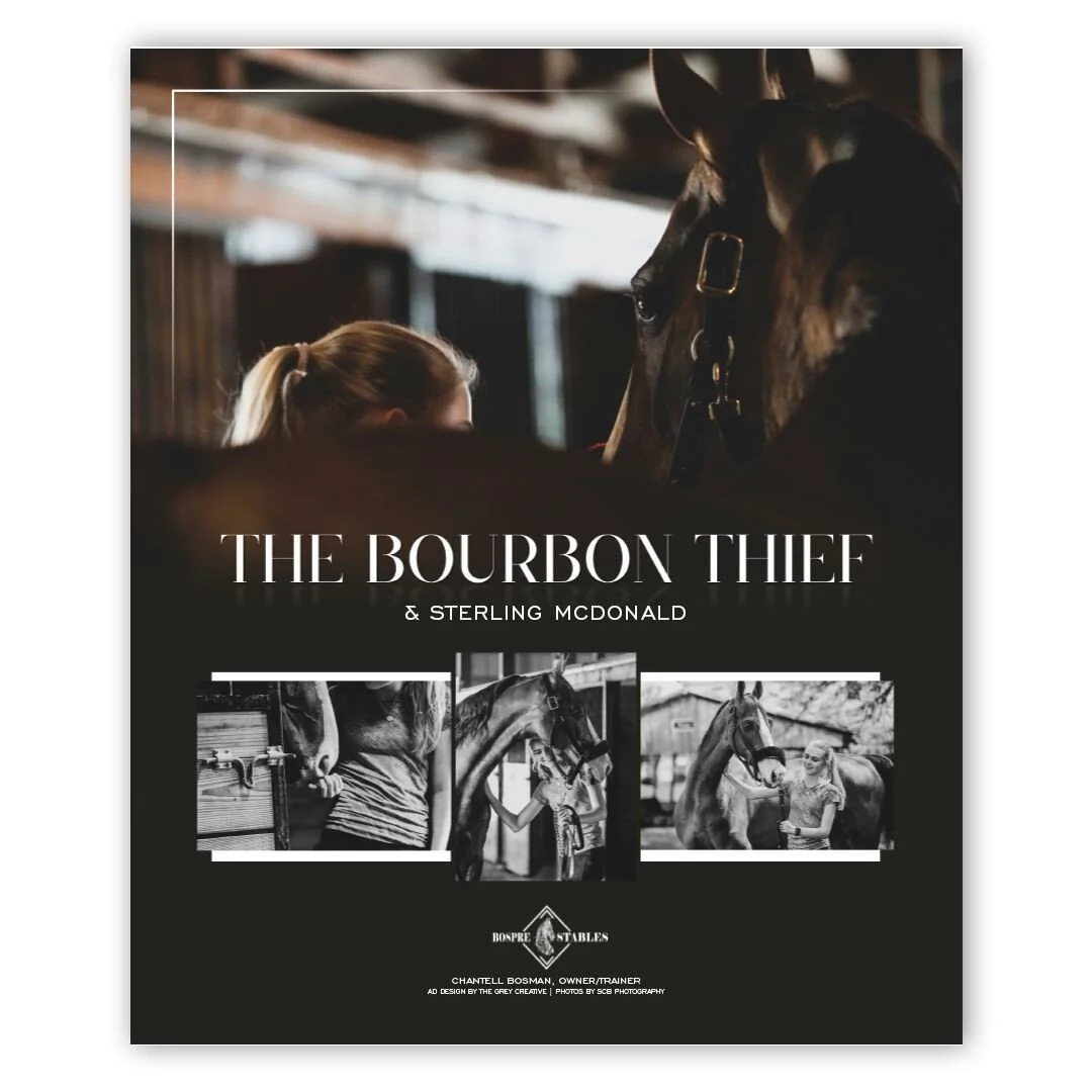 From the archives

The Bourbon Thief &amp; Sterling McDonald 
Trained by Bospre Stables and owned by McDonald LLC 

#thegreycreative #letsmakesomethinggreyt #saddlebred #mcdonaldllc SCB Photography