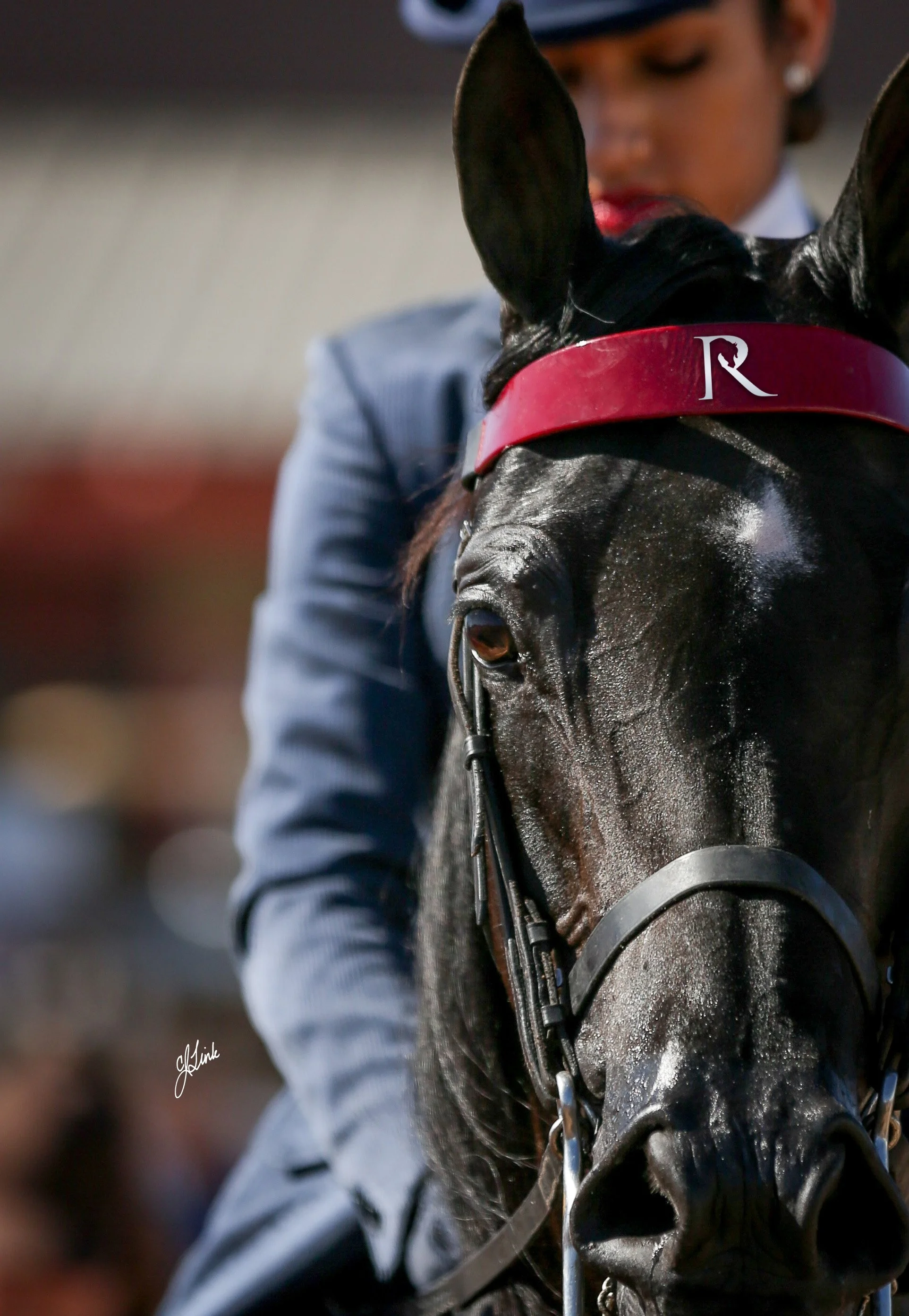 BrowBand-1.jpg