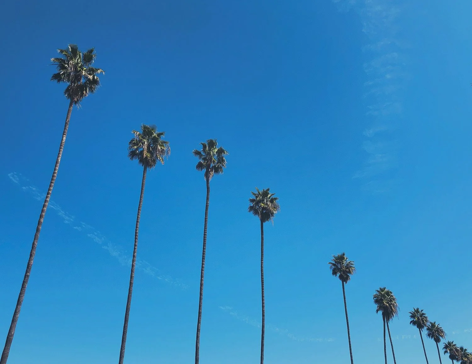 Phoenix-Arizona-Bela Ria Photography-03.jpg