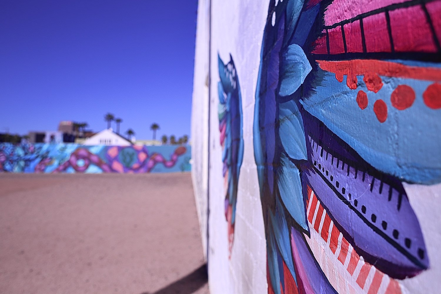 Phoenix-Arizona-Bela Ria Photography-07.jpg