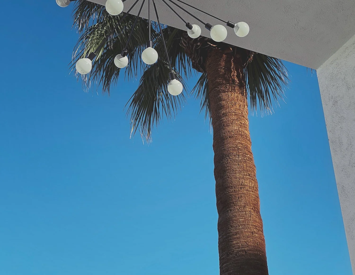 Palm Springs- California-Bela Ria Photography-02.jpg