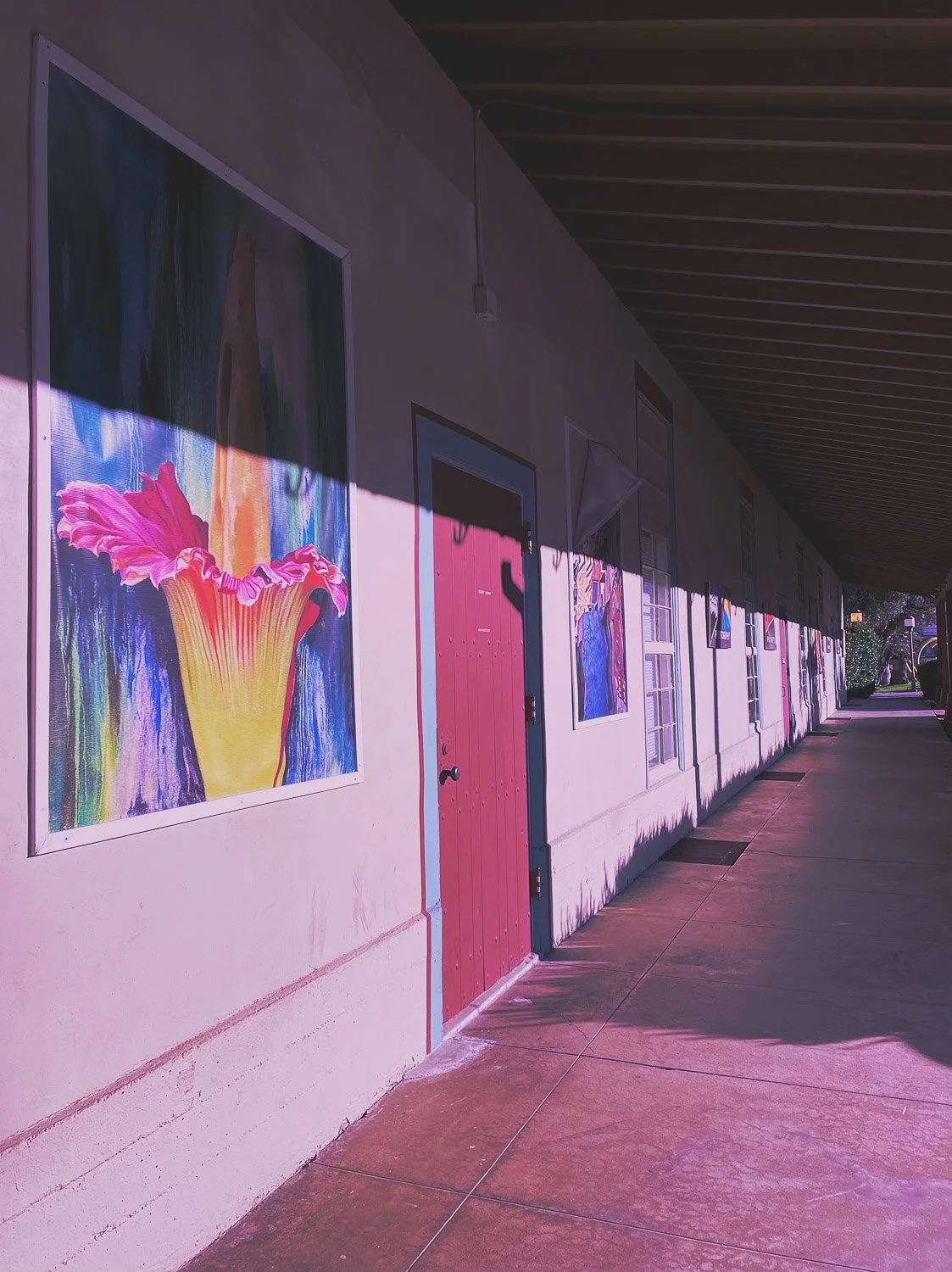 Palm Springs- California-Bela Ria Photography-04.jpg