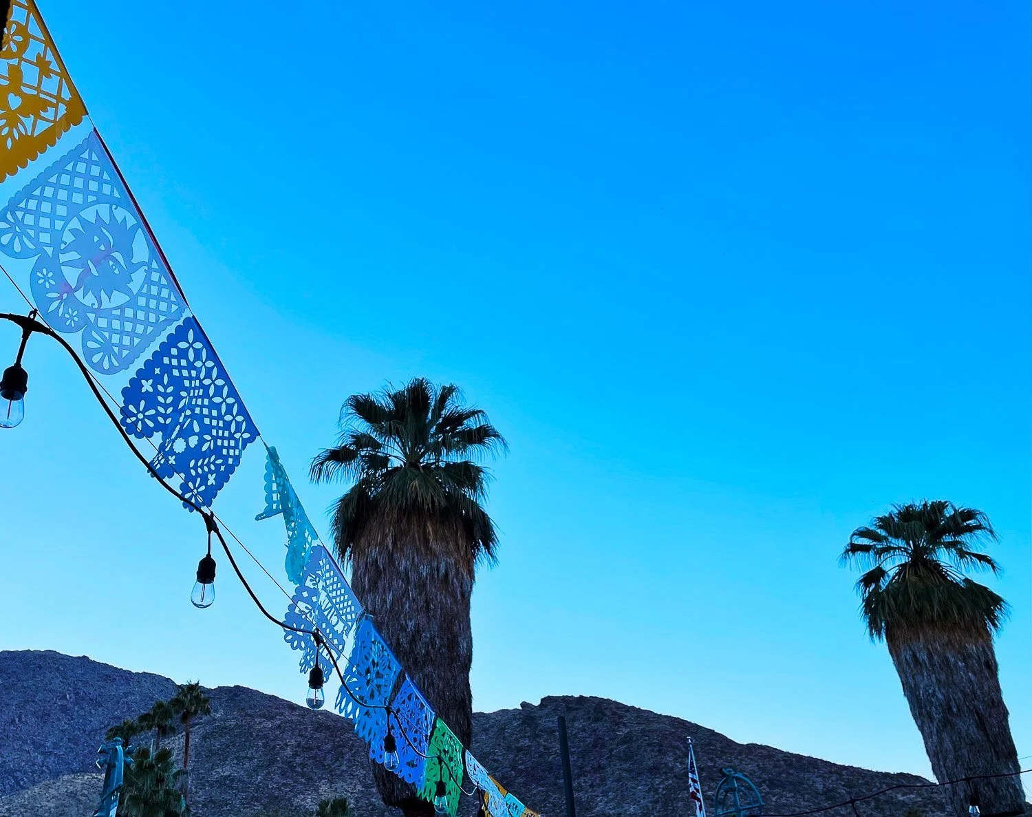 Palm Springs- California-Bela Ria Photography-07.jpg