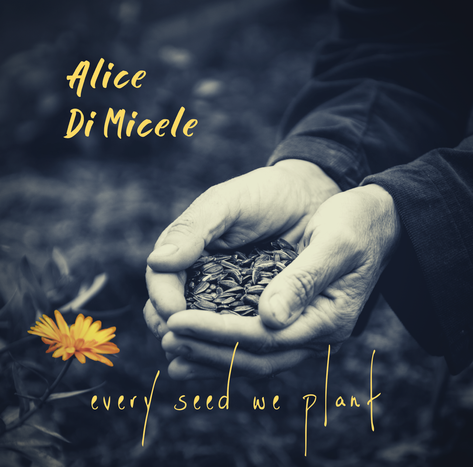 AliceCover_Blue.png