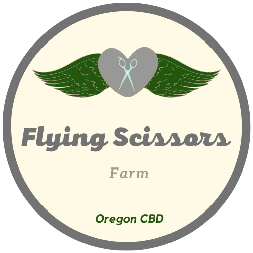 FLYING SCISSORS.png