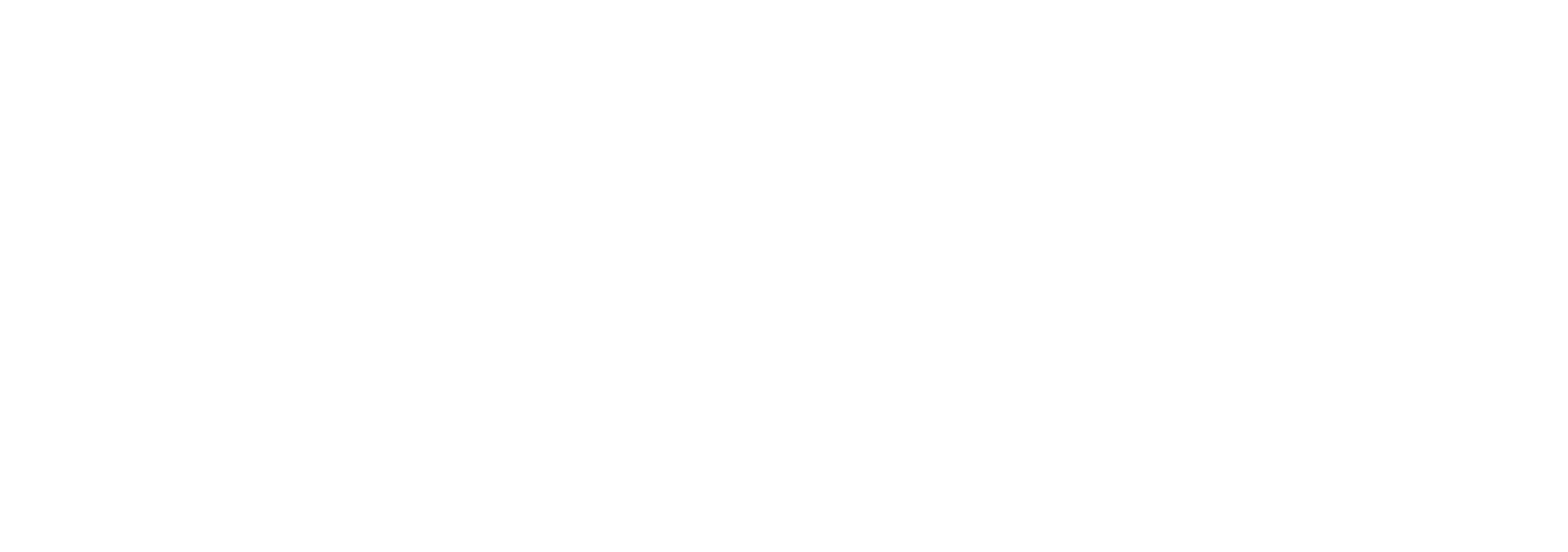 Auckland City Council