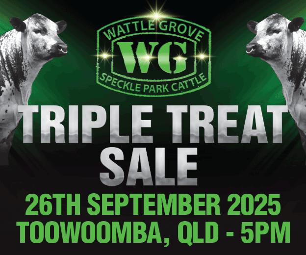 Triple Treat Sale 2025