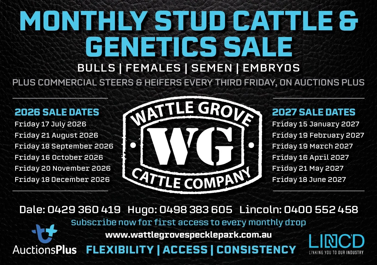 WGCC Monthly Stud Cattle &amp; Genetics August 2026