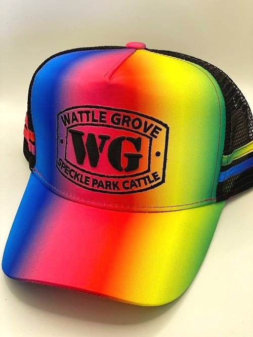 Rainbow WG Trucker Cap