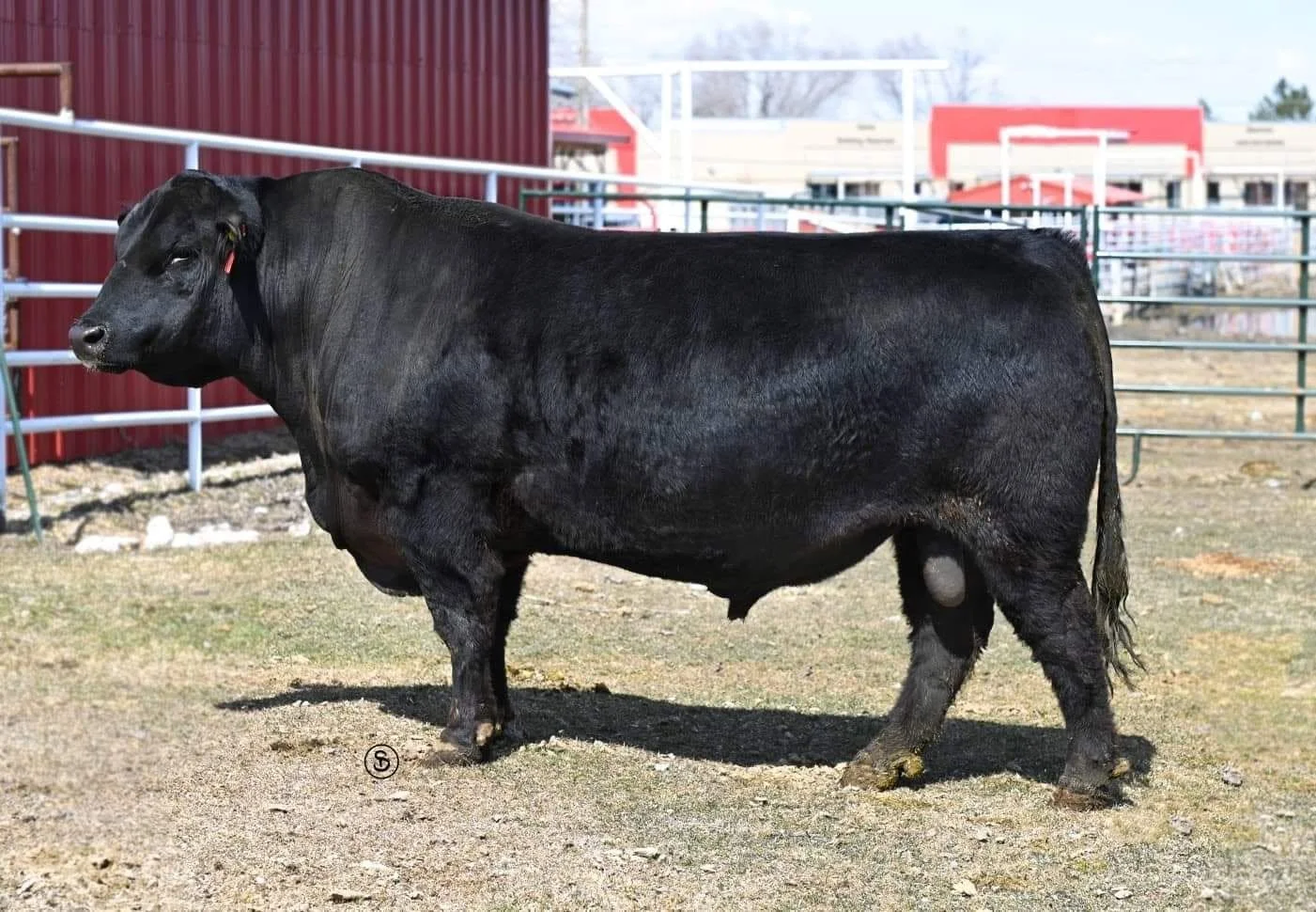 PRAIRIE HILL 5E RAVEN 86G