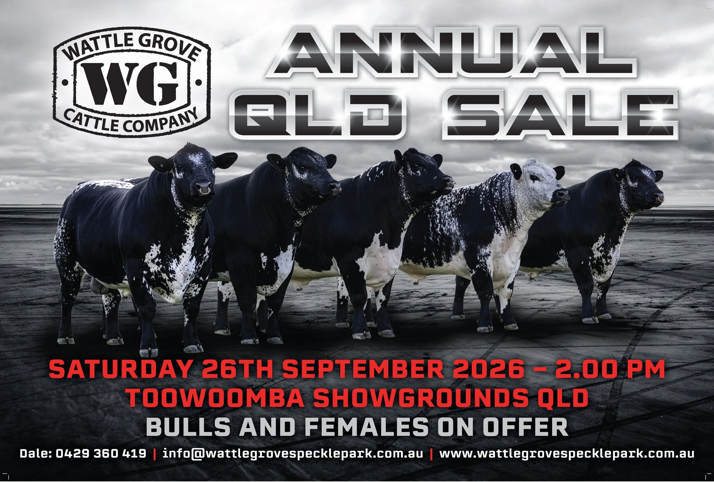 Annual QLD Sale graphic, four Speckle Park bulls and date.
