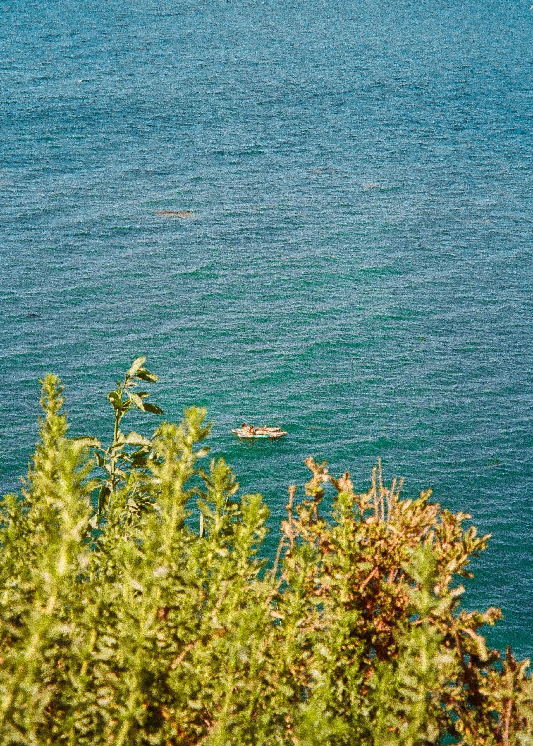 summer26 film-03.jpg