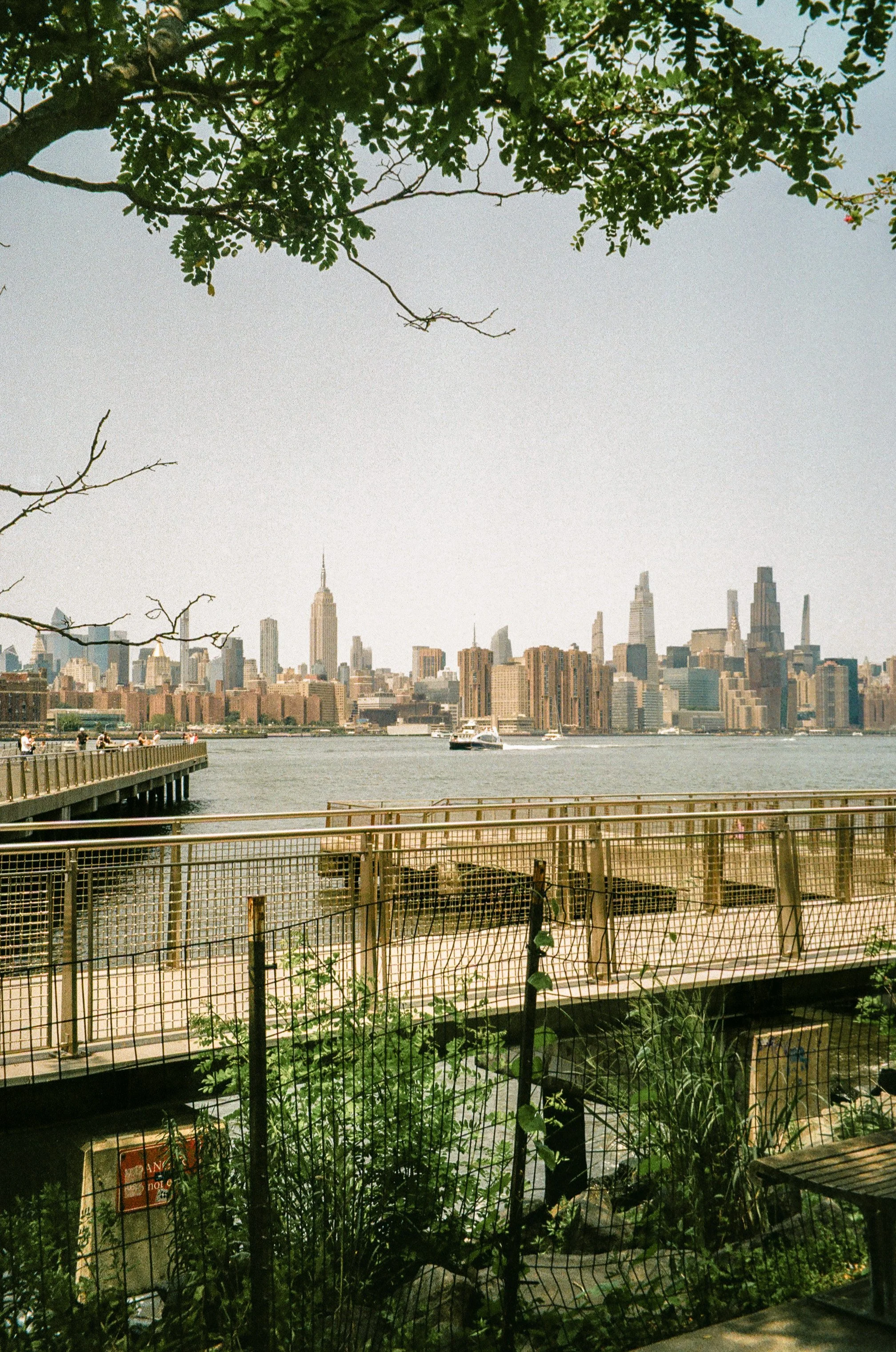 summer26 film-38.jpg