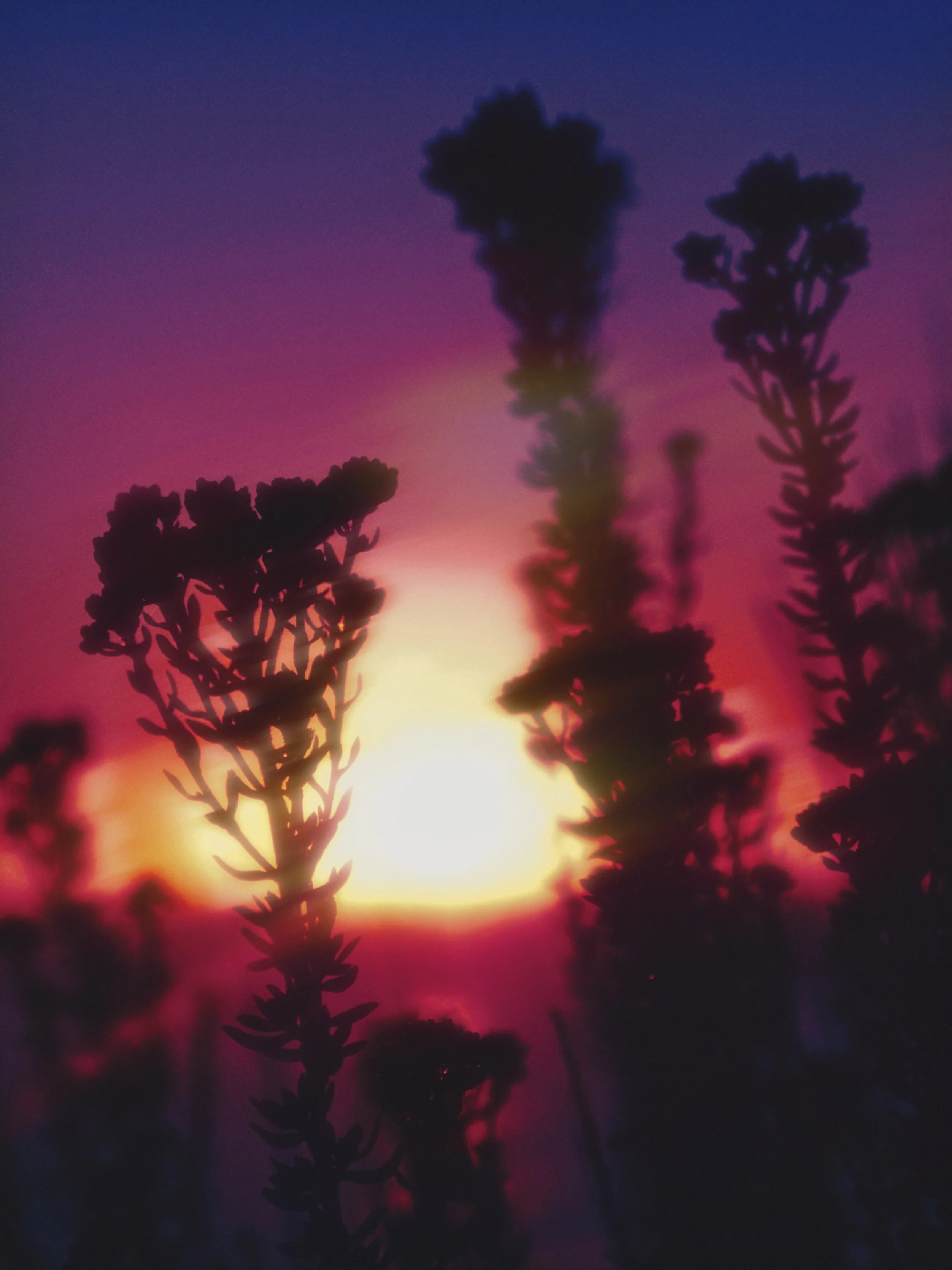 EC1231D6-E228-4B7E-81A6-422E5FF11CE0.jpeg